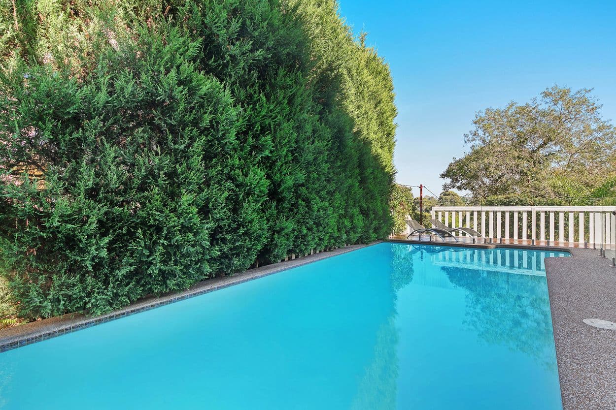 57 Parni Place, Frenchs Forest, Frenchs Forest - Thumbnail 7