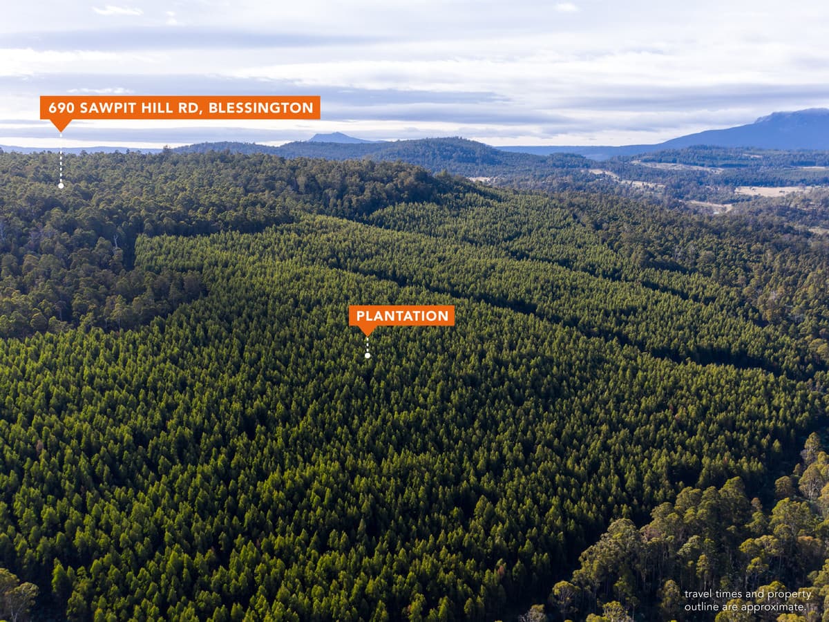 690 Sawpit Hill Road, Blessington, Blessington - Thumbnail 3