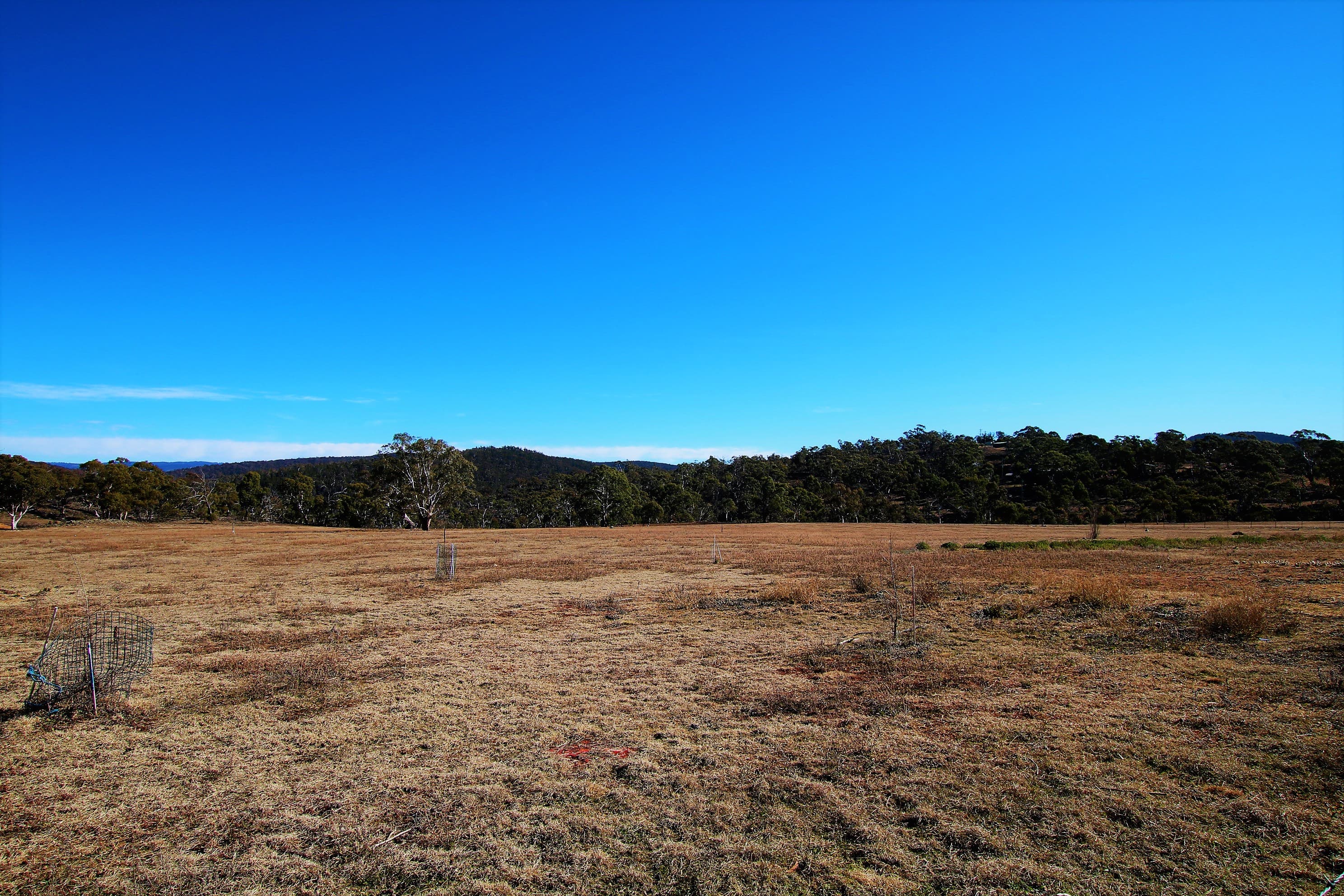 181 Bidgee Road, Binjura, Binjura - Thumbnail 5