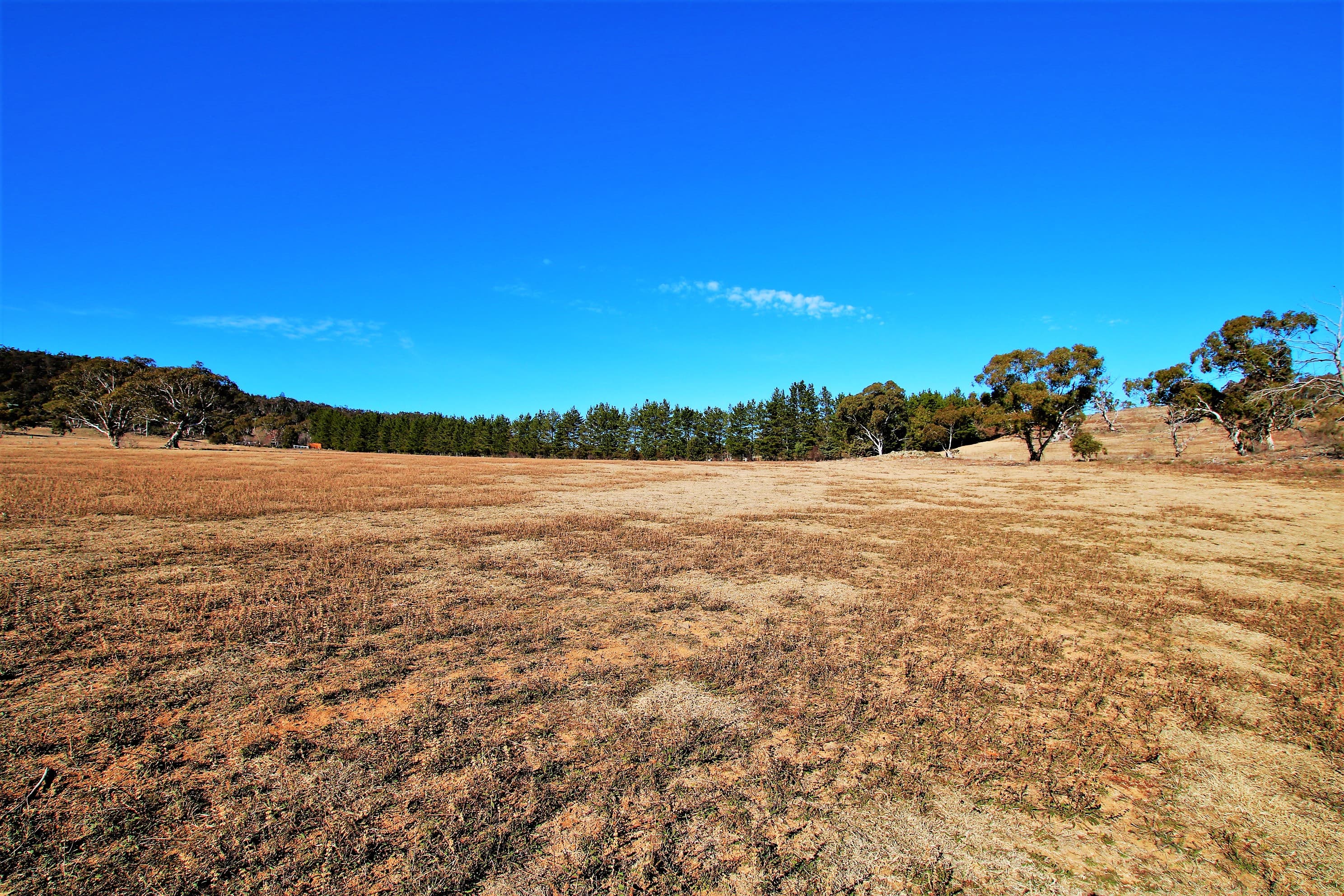 181 Bidgee Road, Binjura, Binjura - Thumbnail 7