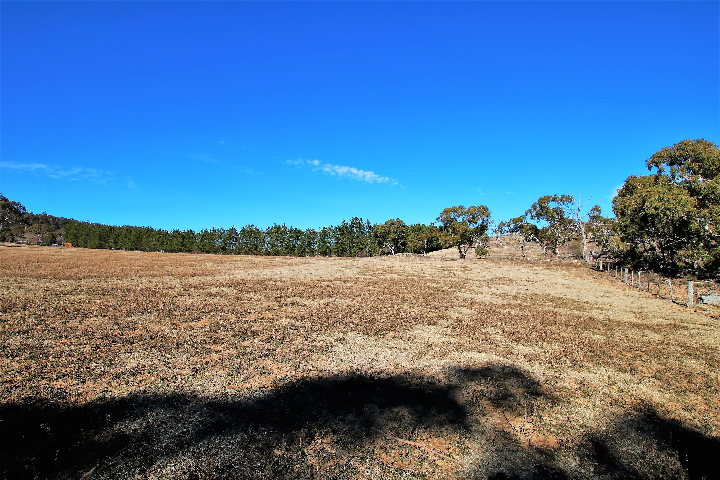 181 Bidgee Road, Binjura, Binjura - Thumbnail 6