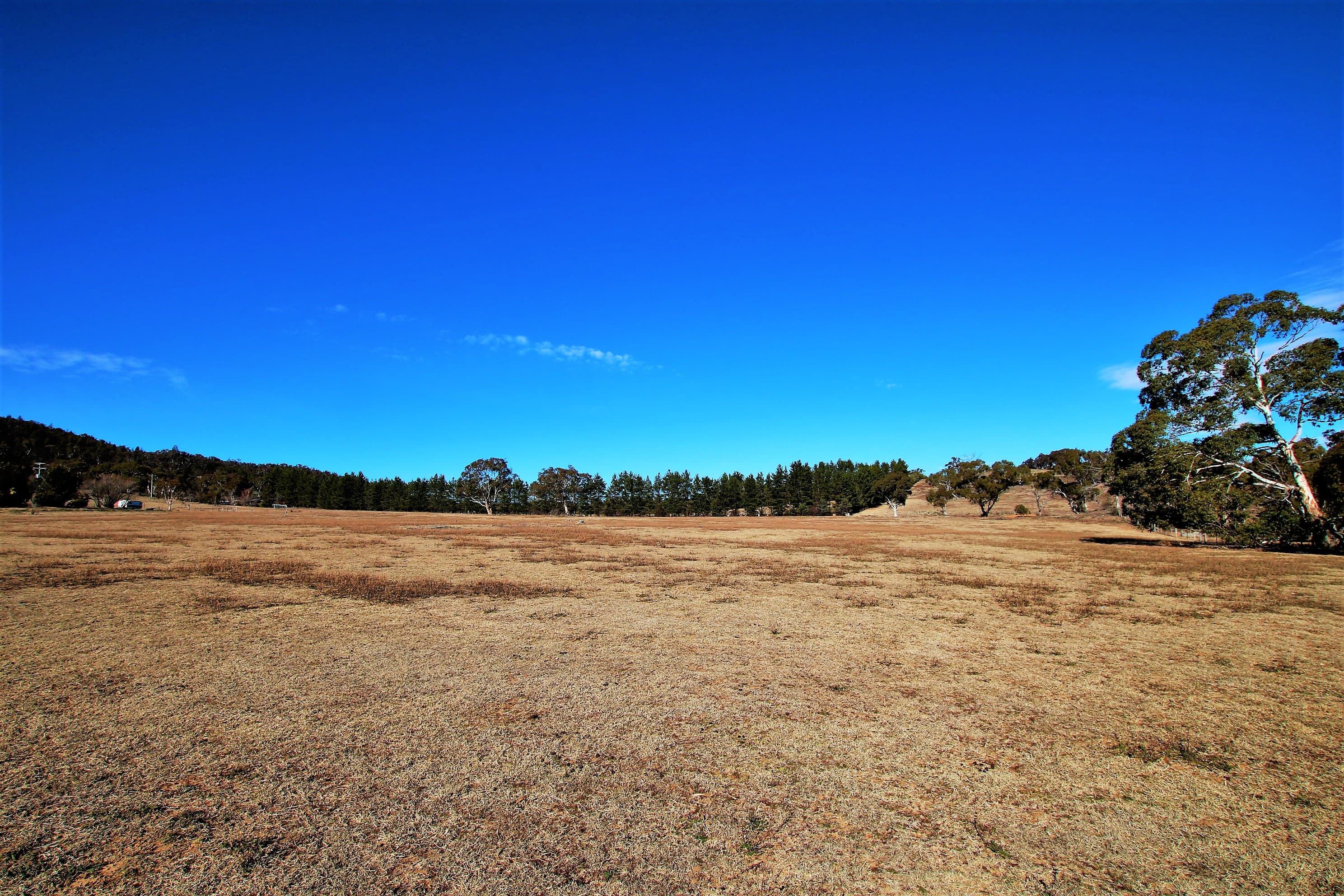 181 Bidgee Road, Binjura, Binjura - Thumbnail 8
