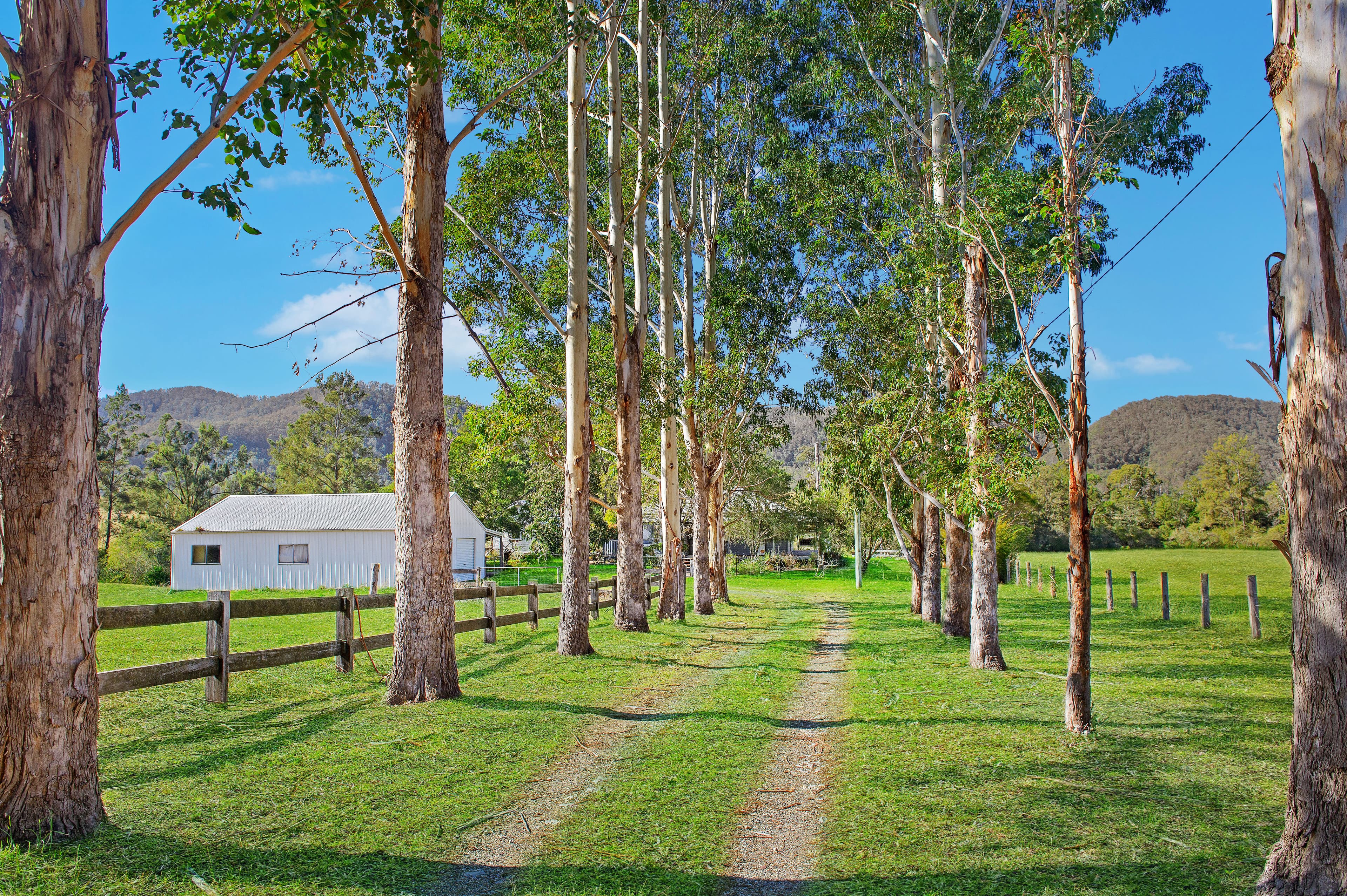 232 Kindee Road, Kindee, Kindee - Thumbnail 3