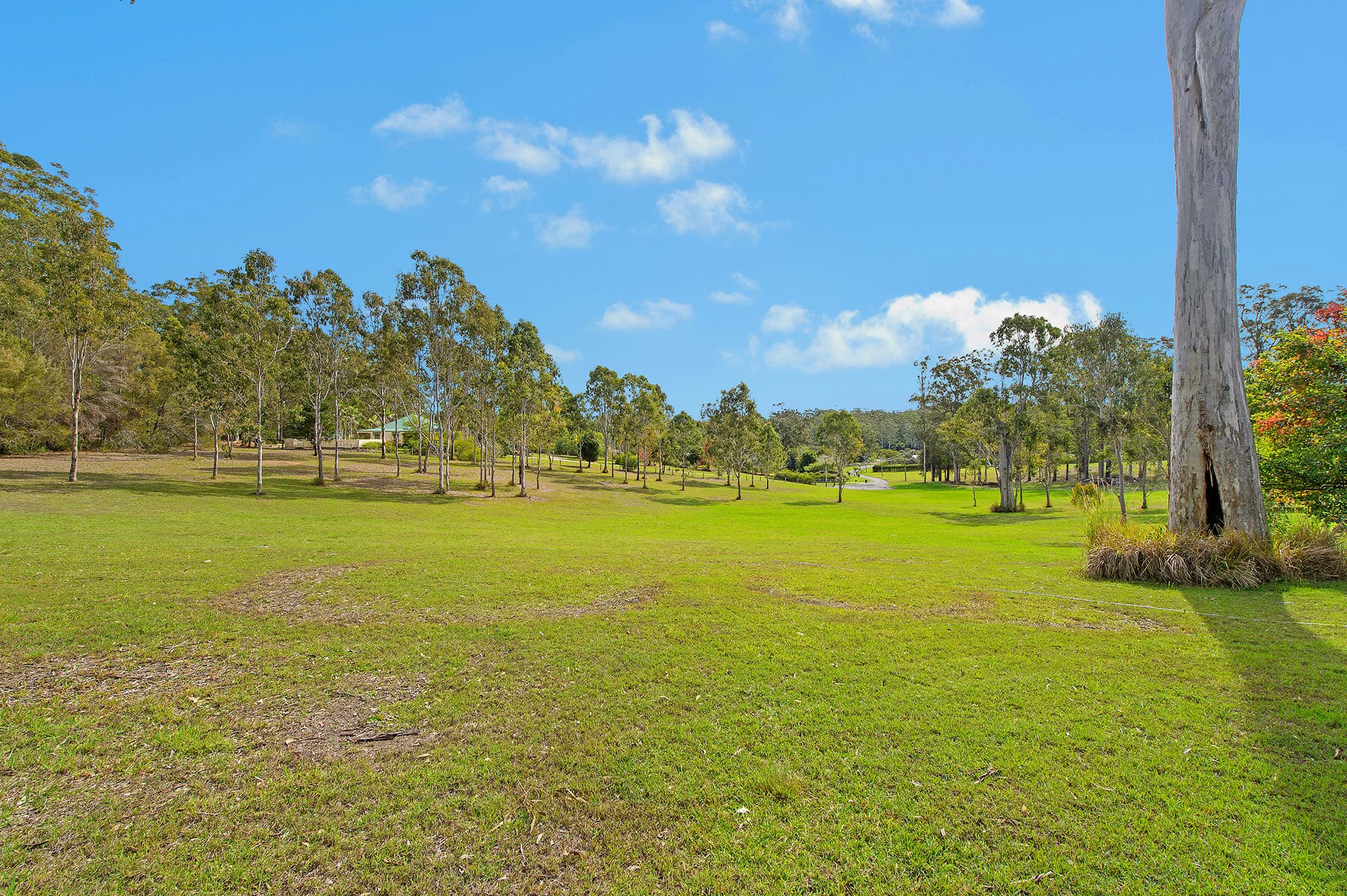 168 Burrawan Forest Drive, Lake Innes, Lake Innes - Thumbnail 5