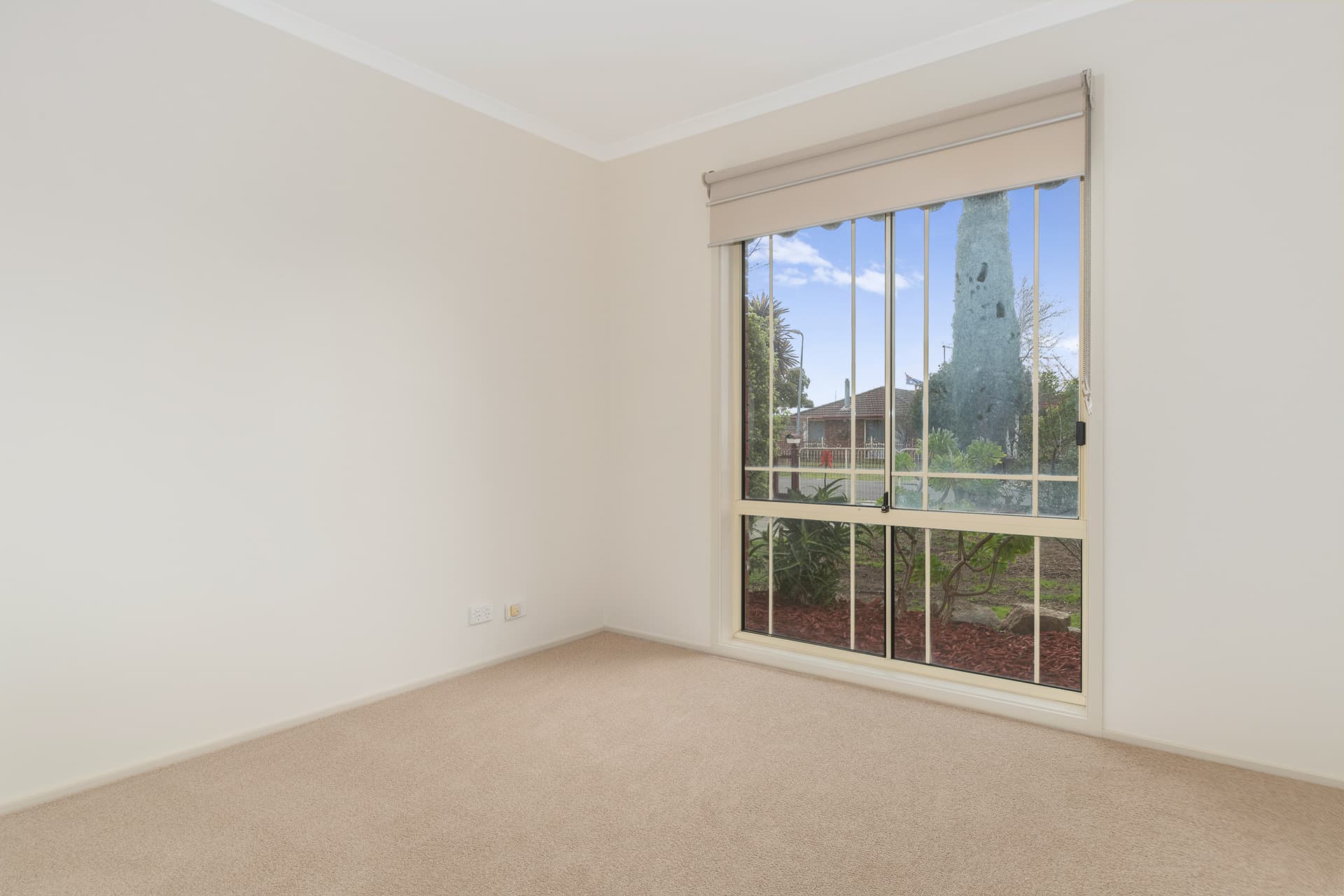 19 Chloe Drive, Hastings, Hastings - Thumbnail 8