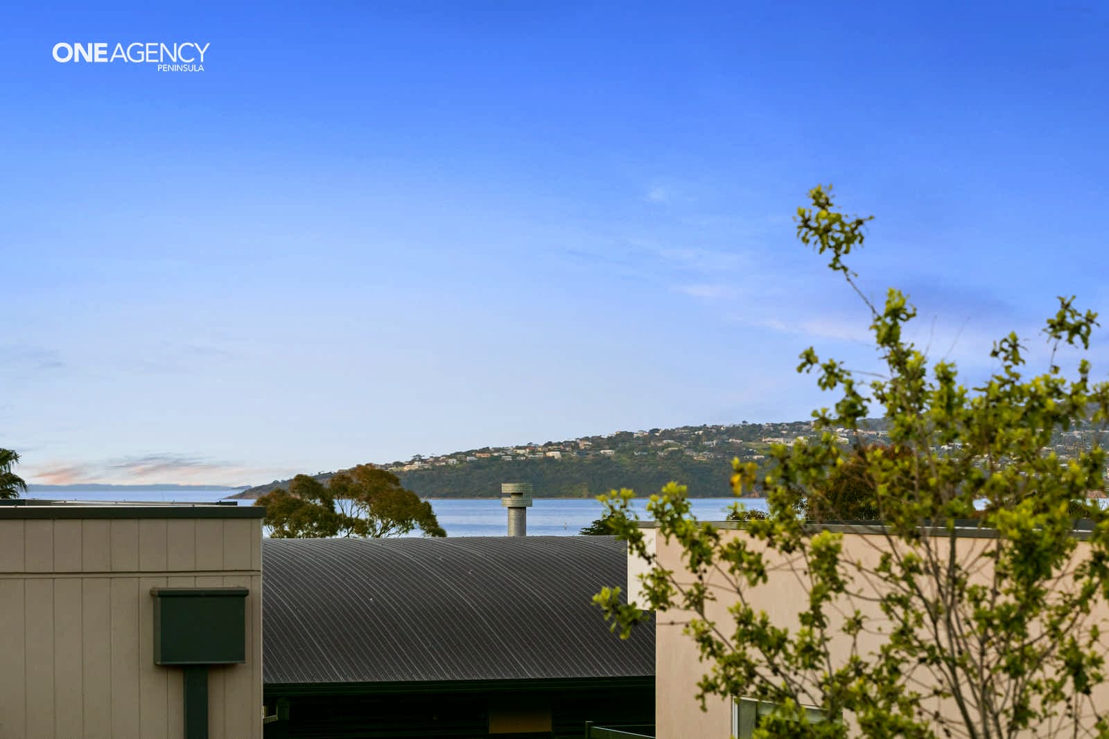 2/27 Codrington Street, Dromana, Dromana - Thumbnail 4