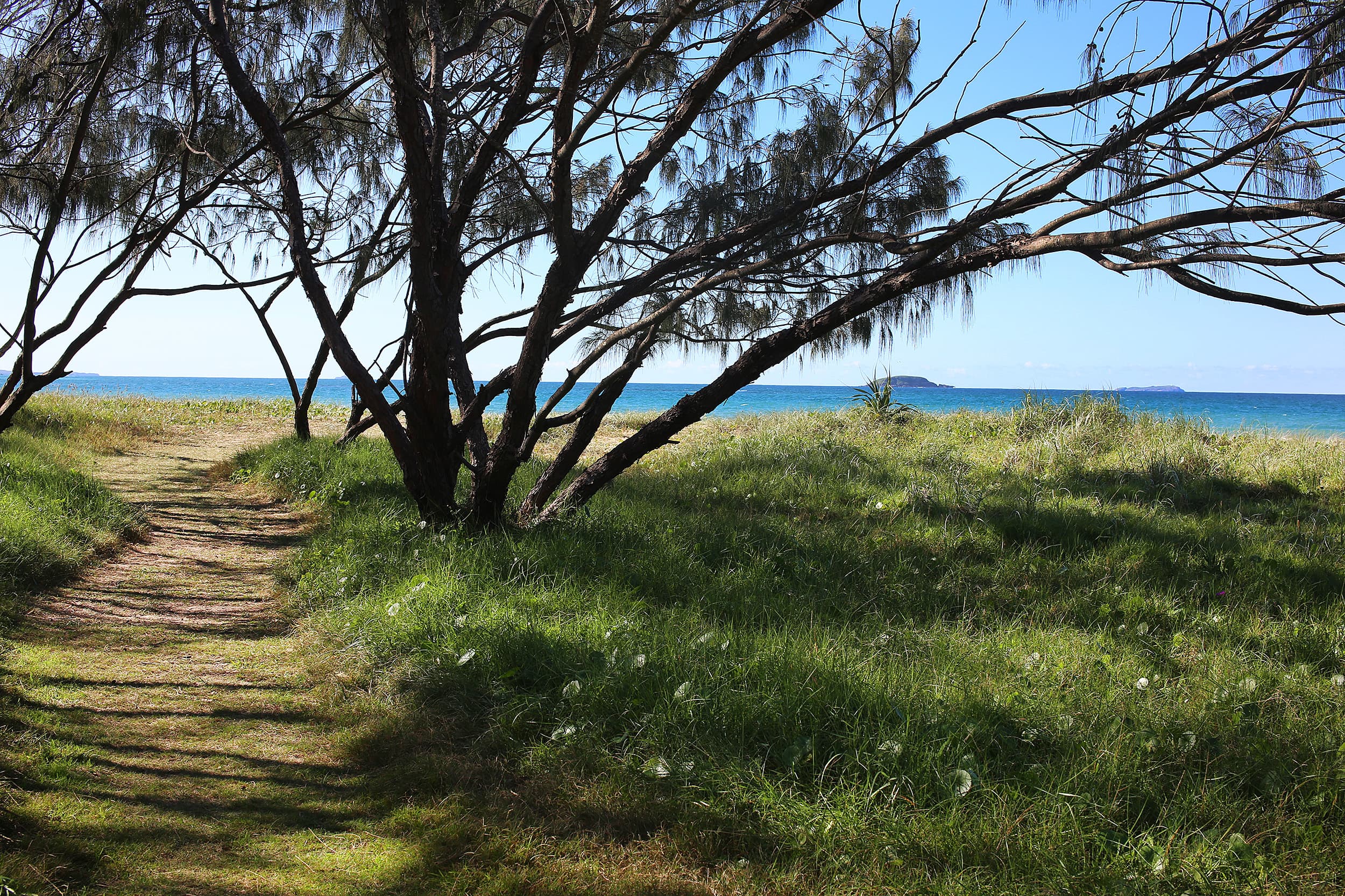 2205-2206/2 Resort Drive, Coffs Harbour, Coffs Harbour - Thumbnail 3