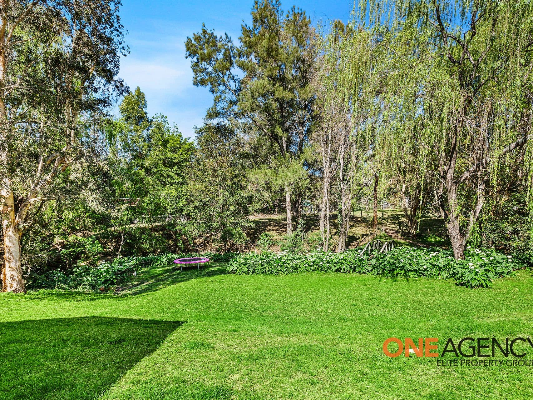 14 Sabal Close, Berry, Berry - Thumbnail 4