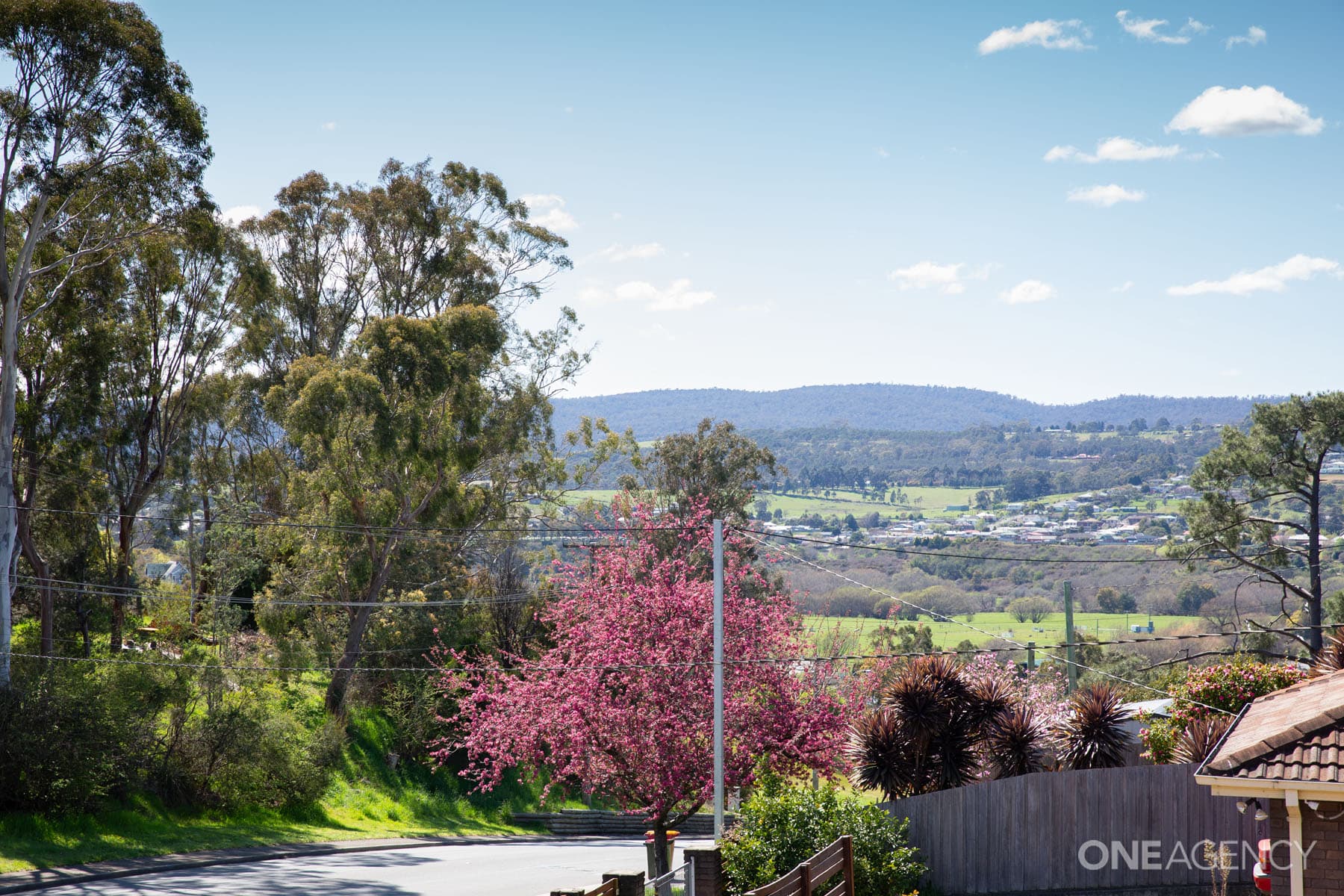 156 Quarantine Road, Norwood, Norwood - Thumbnail 4