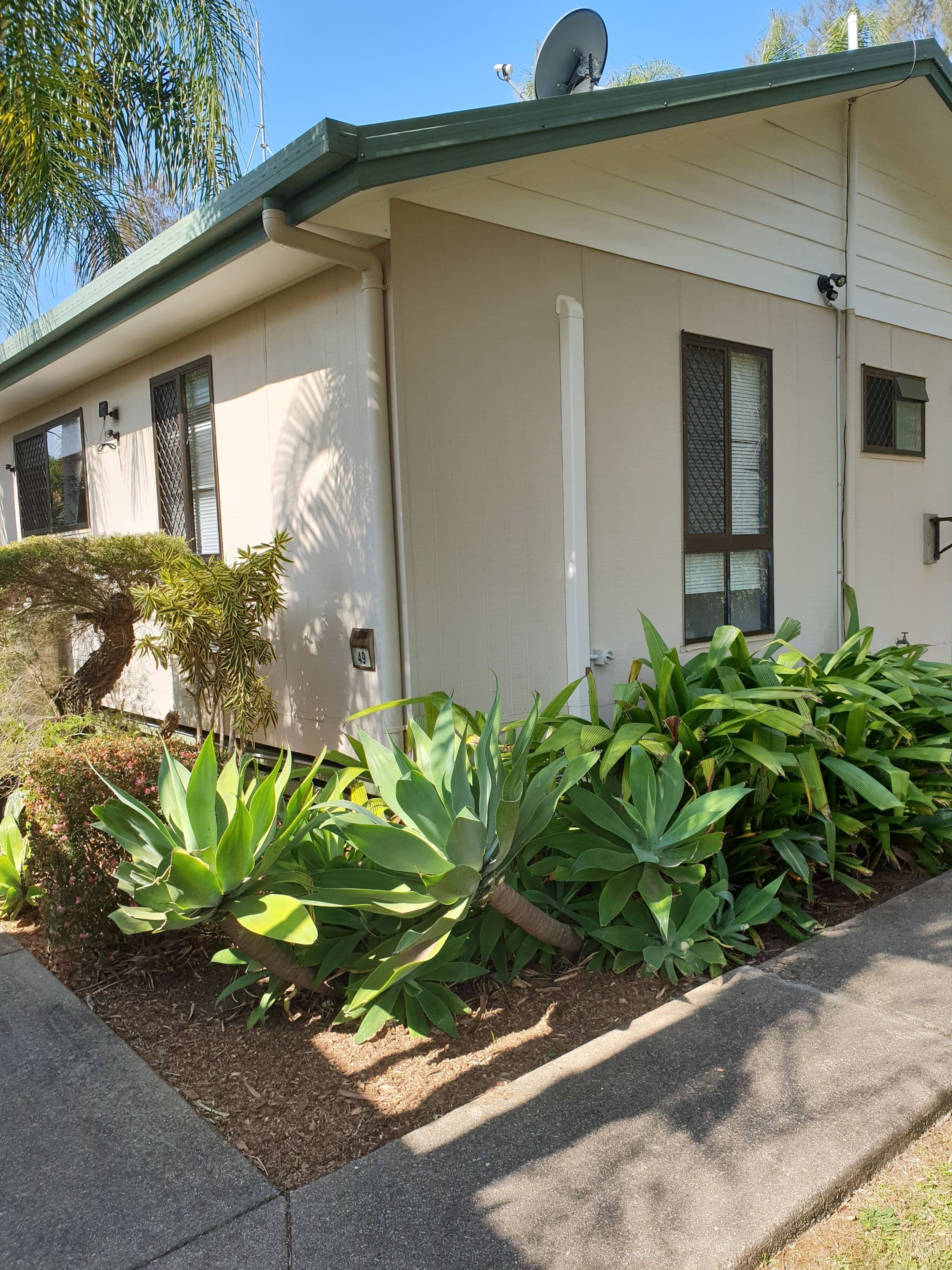 49/38 David Low Way, Diddillibah, QLD 4559, Diddillibah - Thumbnail 2