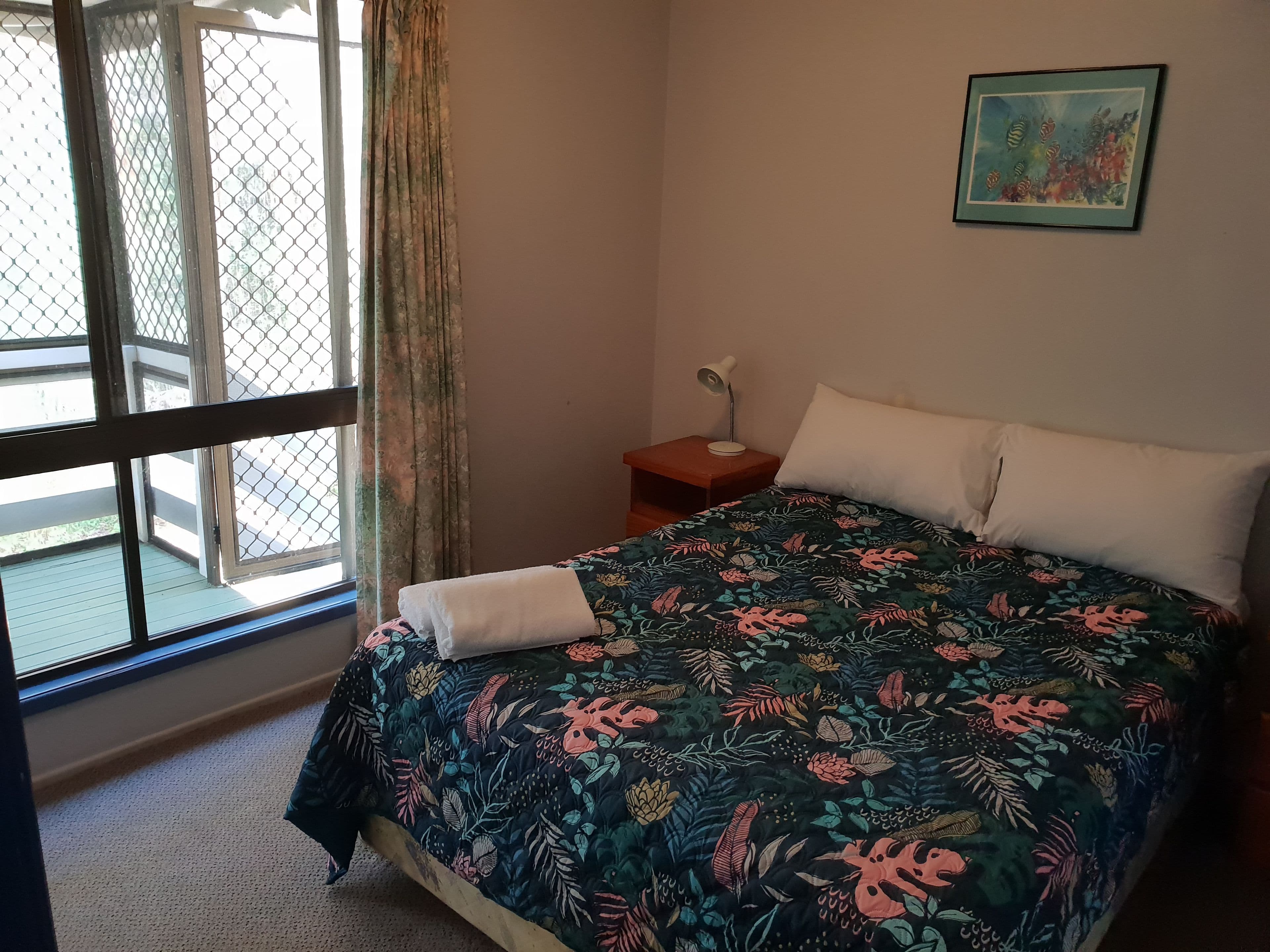 49/38 David Low Way, Diddillibah, QLD 4559, Diddillibah - Thumbnail 5