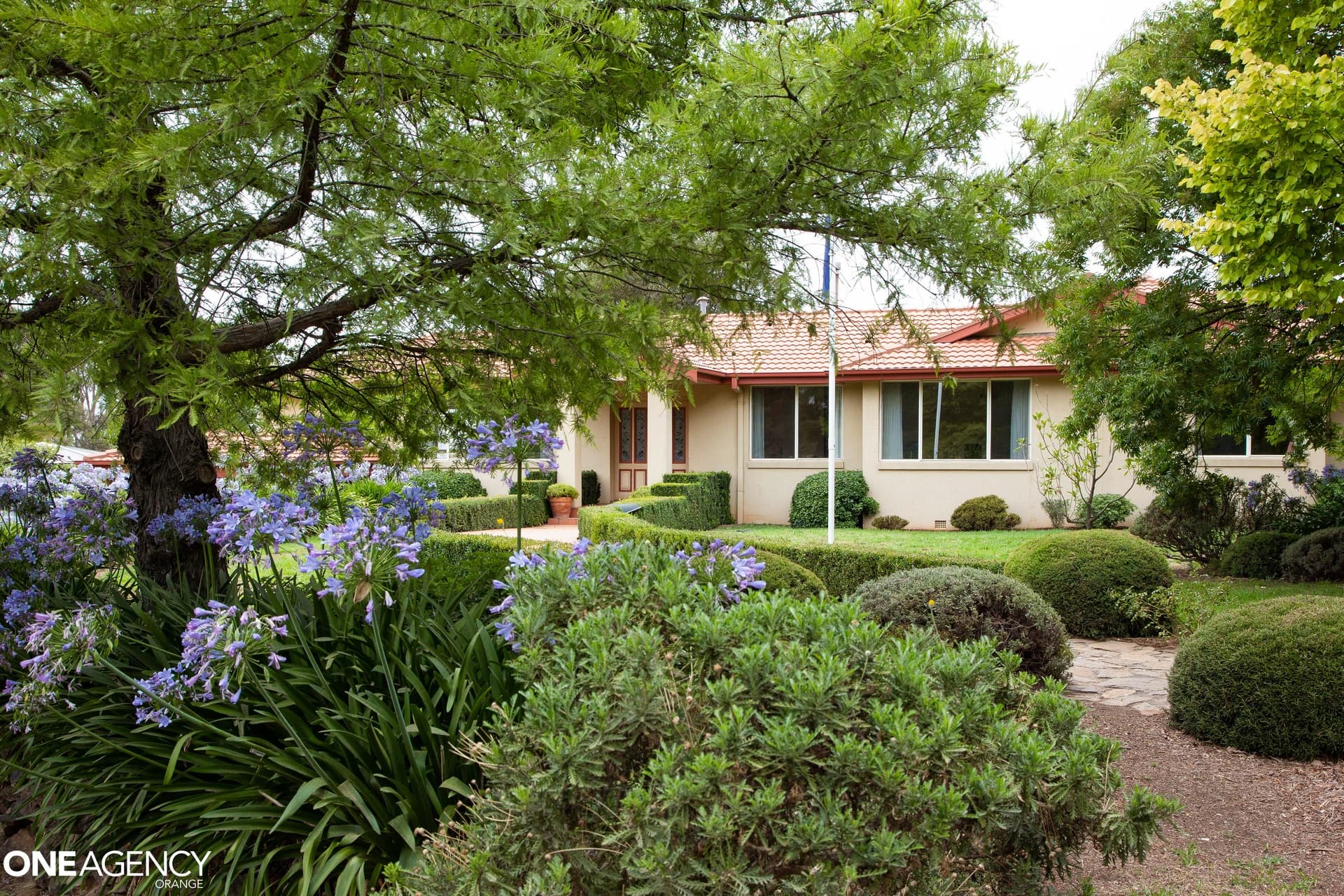867 Pinnacle Road, Orange, Orange - Image 1