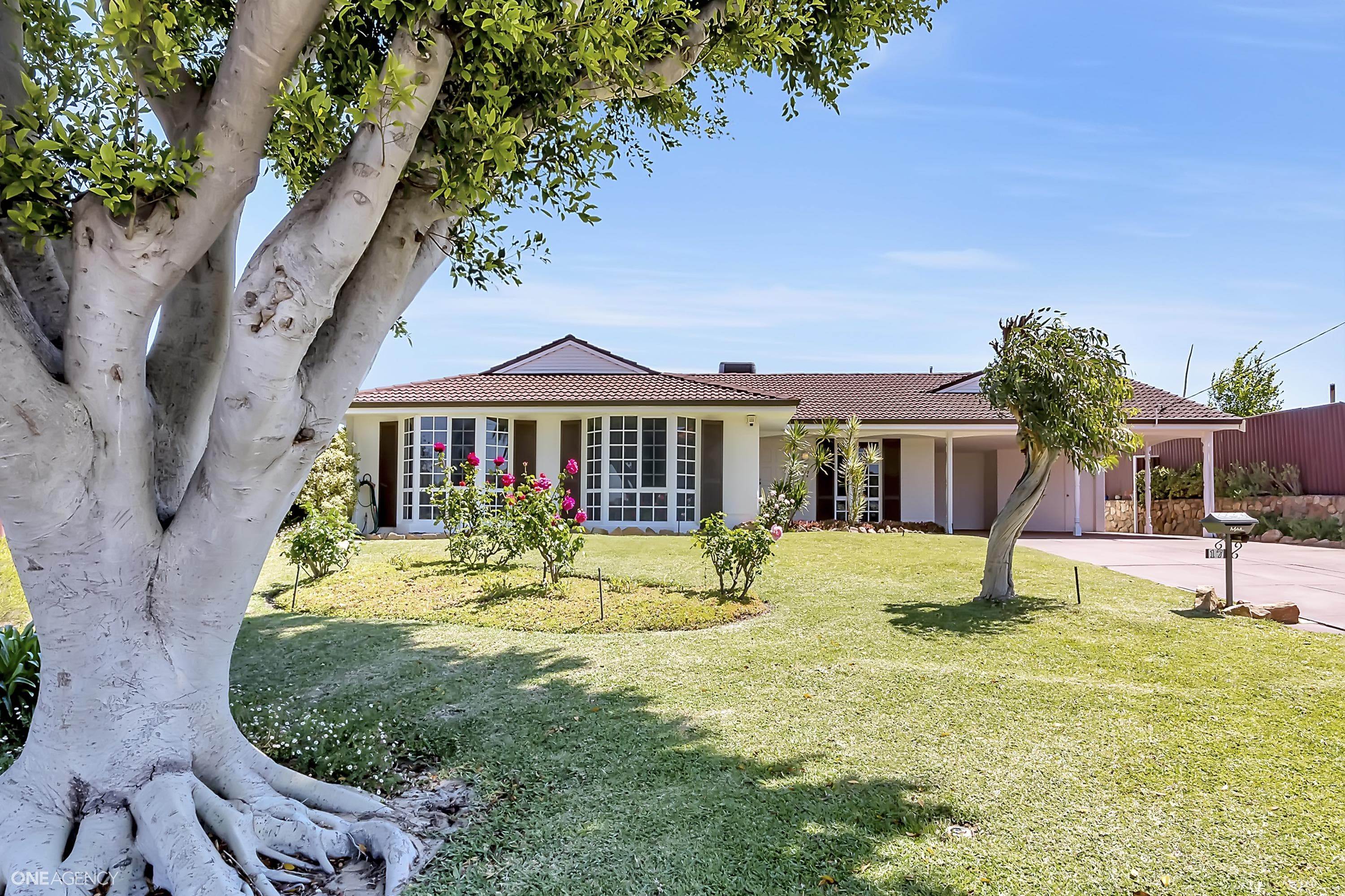 17 Filbert Street, Greenwood, Greenwood - Thumbnail 3