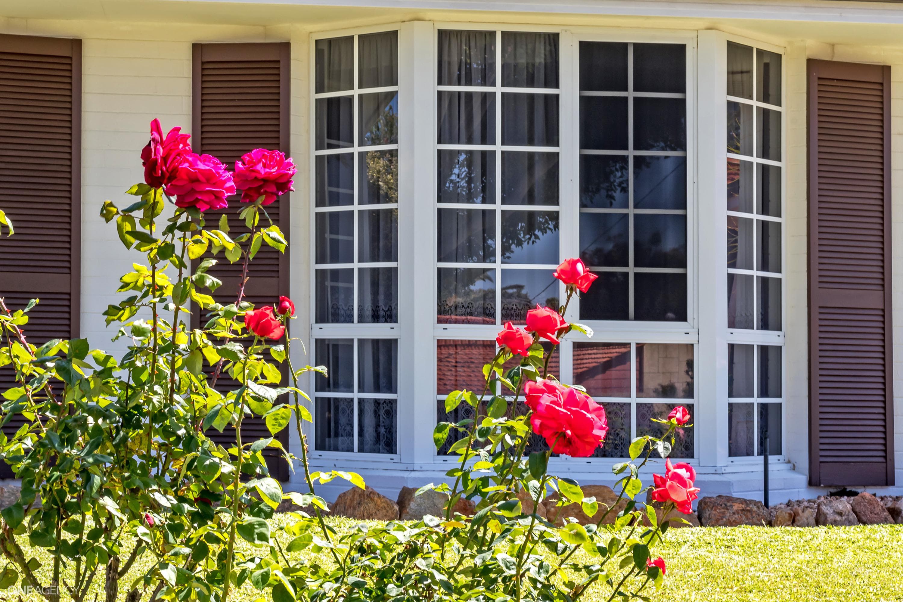 17 Filbert Street, Greenwood, Greenwood - Thumbnail 5