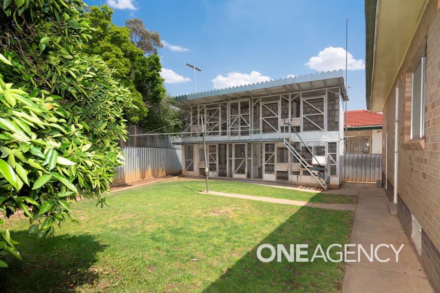 22 Mathoura Avenue, Mount Austin, Mount Austin - Thumbnail 6