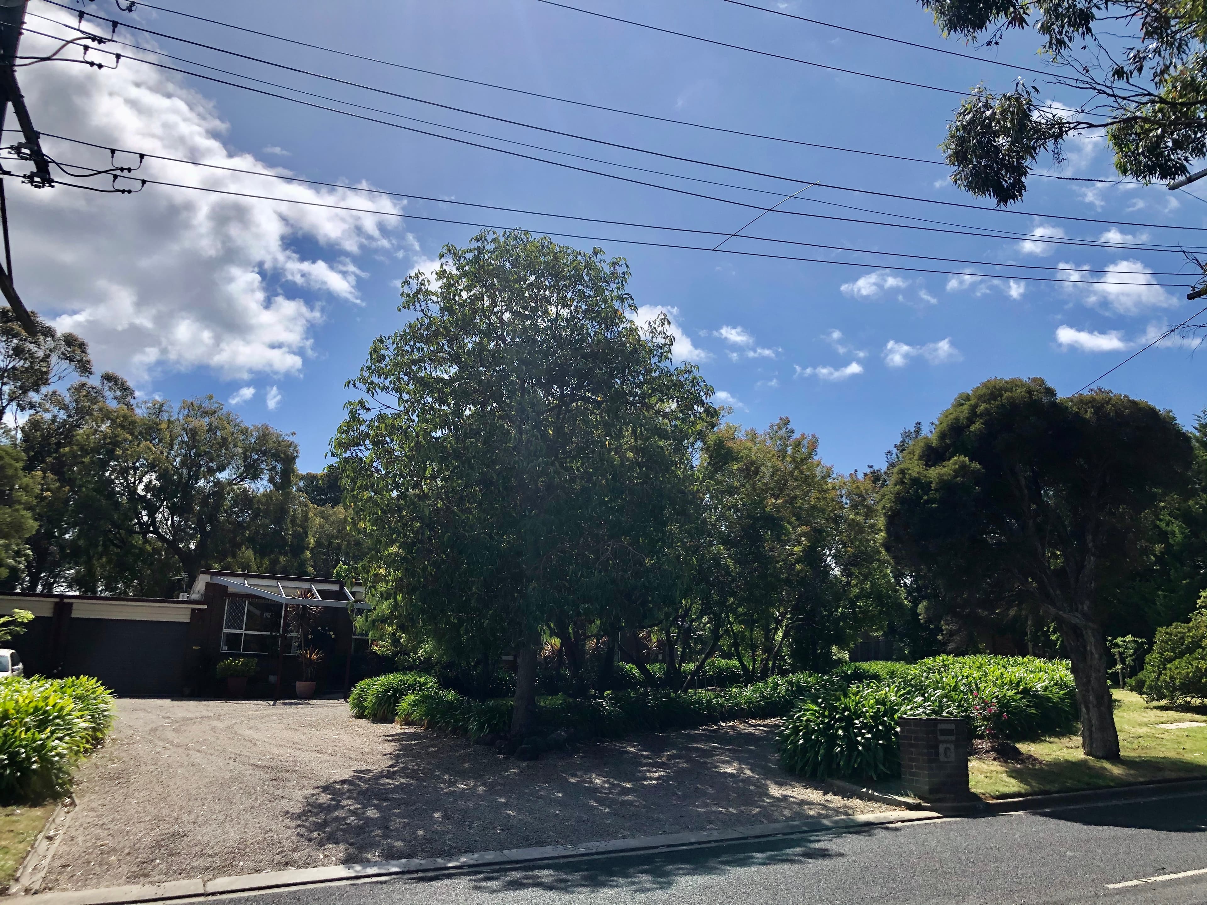 39 Bareena Drive, Mount Eliza, Mount Eliza - Image 1