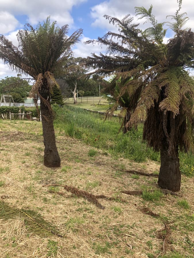 34 Eastland Drive, Ulverstone, Ulverstone - Thumbnail 5