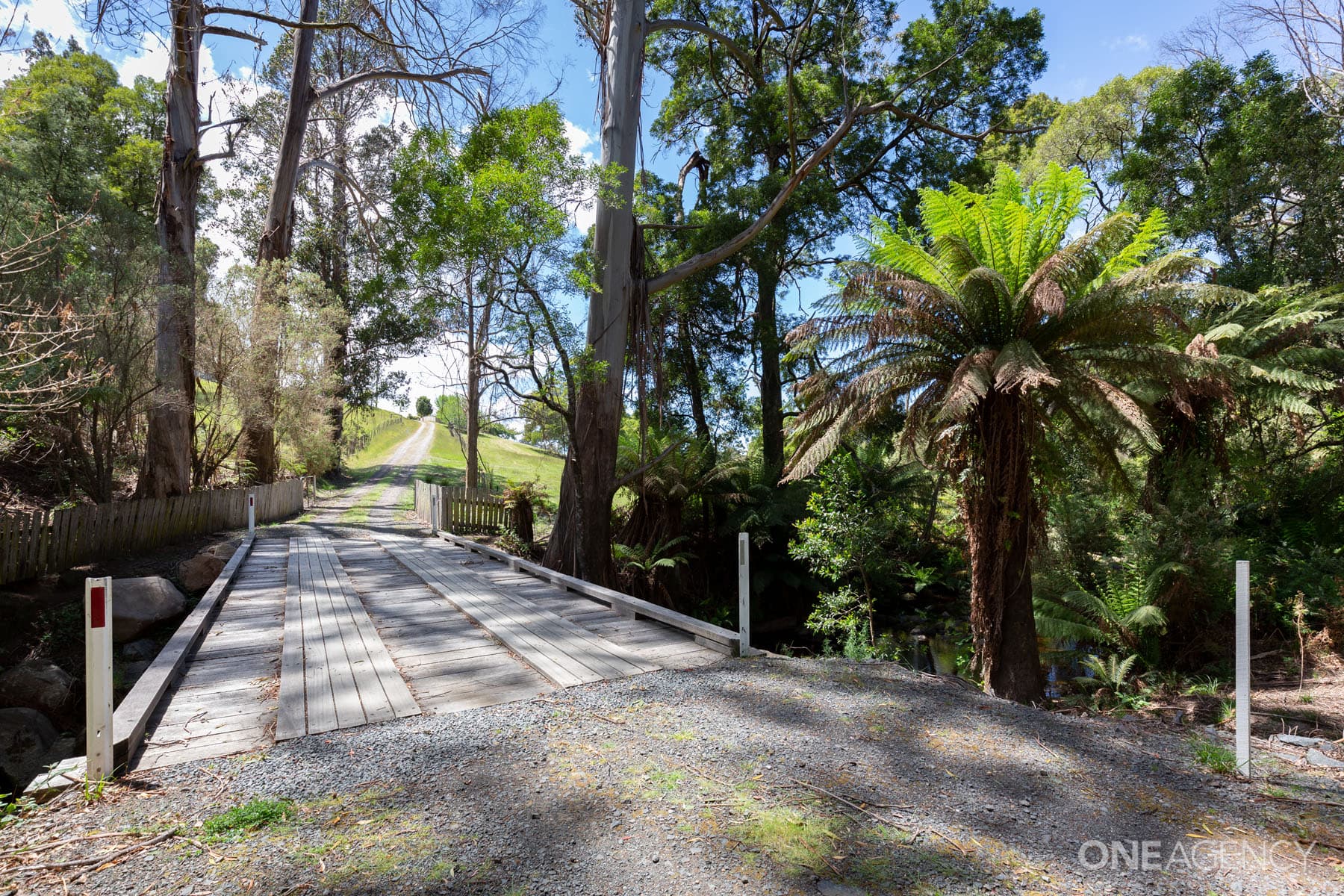 27464 Tasman Highway, Goulds Country, Goulds Country - Thumbnail 3