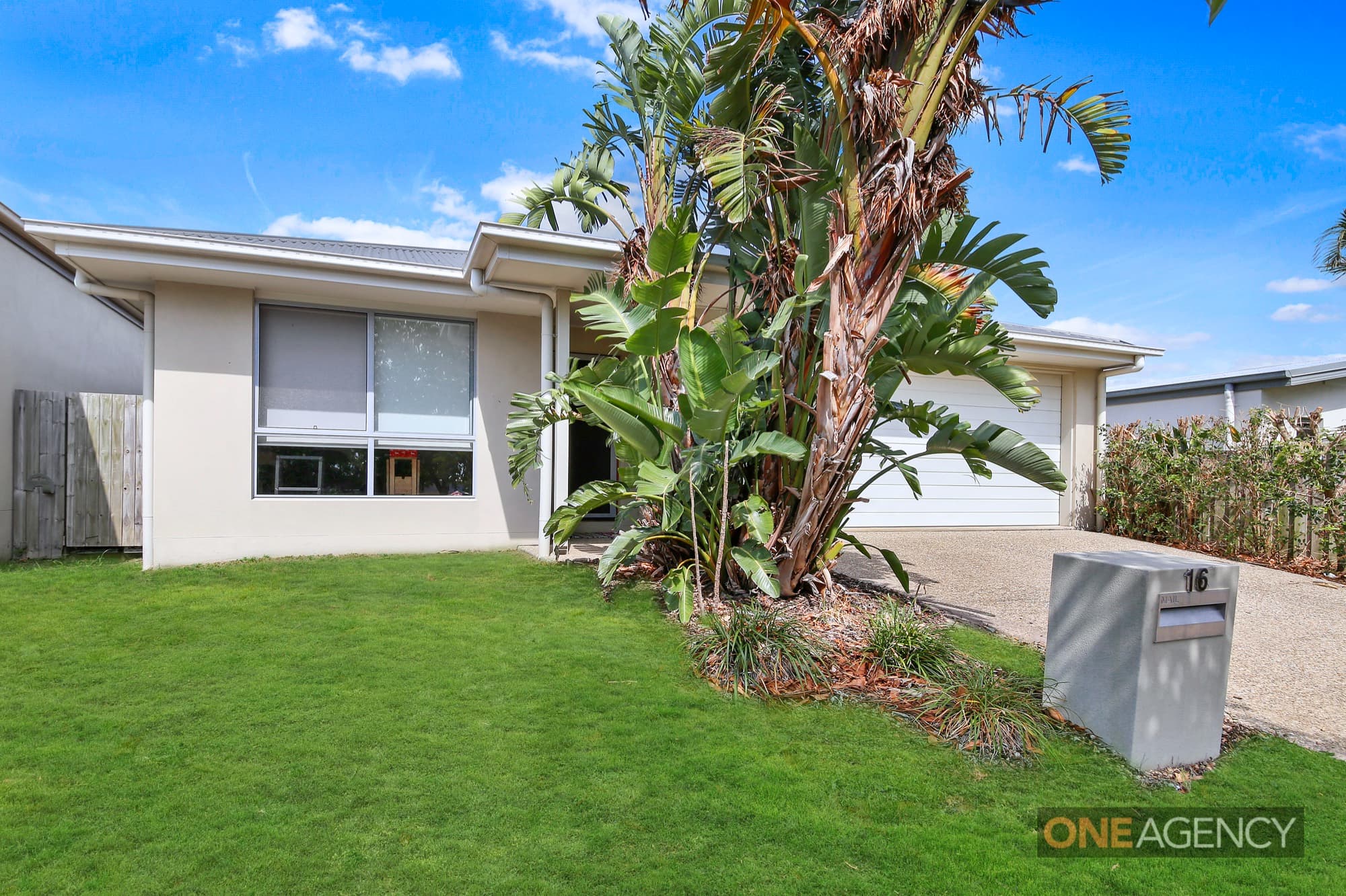 16 Hibbertia Street, Mountain Creek, Mountain Creek - Thumbnail 2