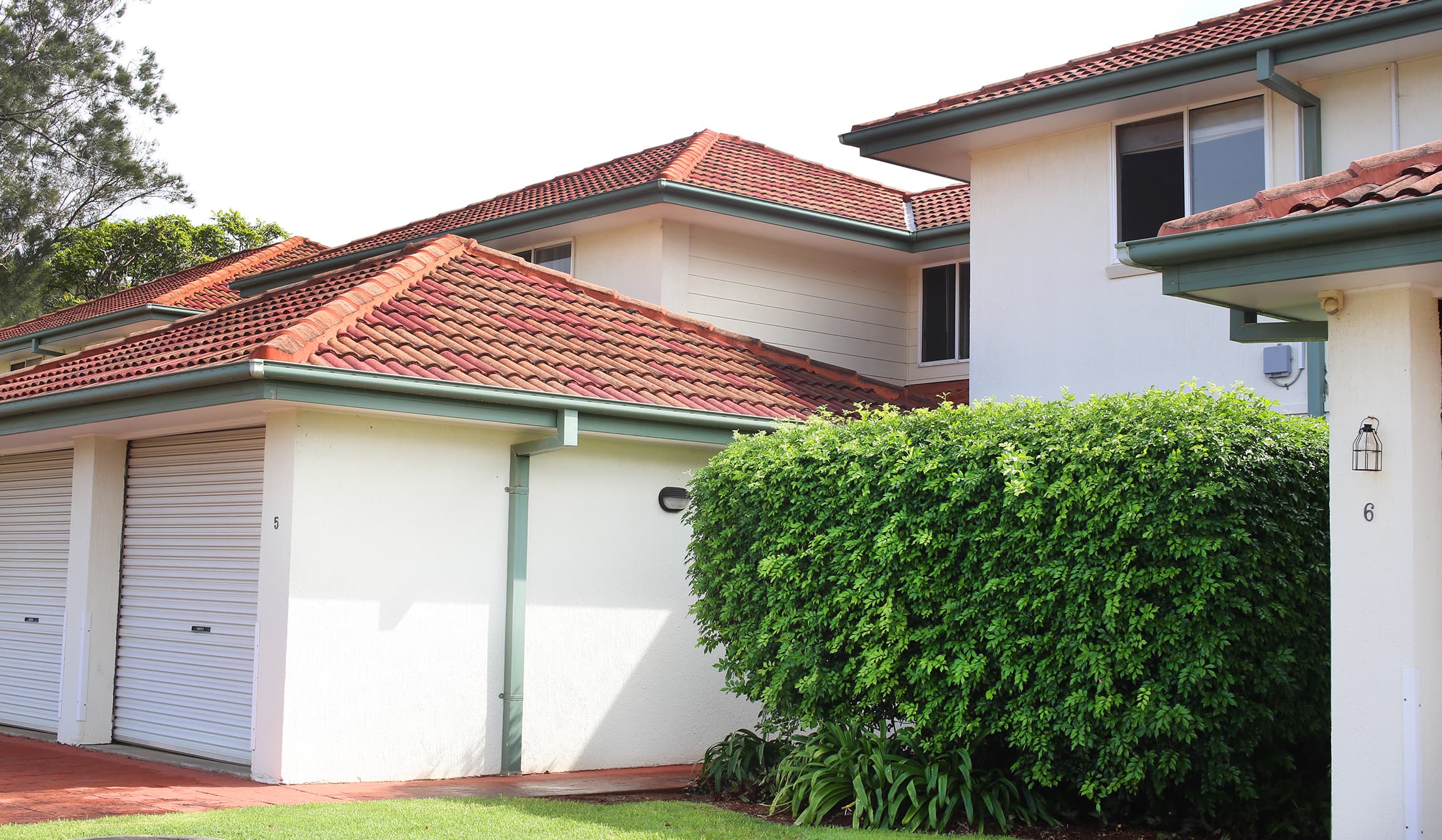 5/2-4 Osprey Place, Korora, Korora - Thumbnail 2