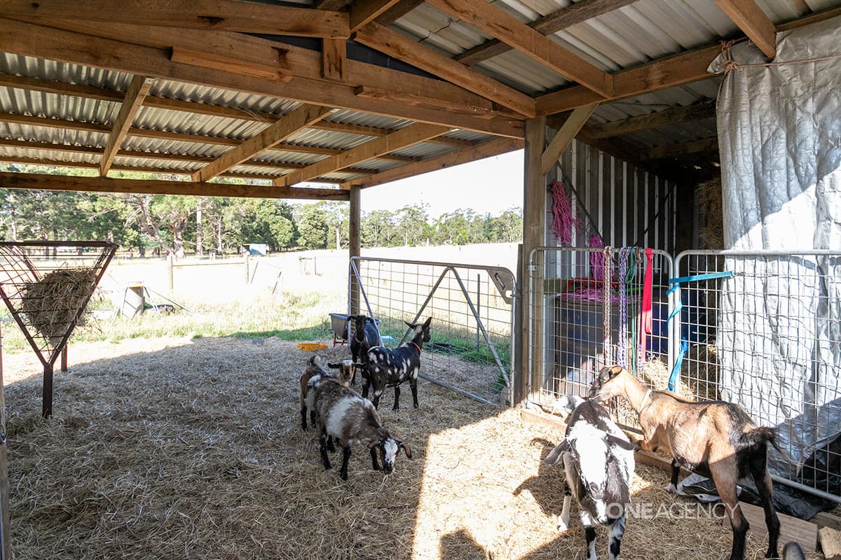 28a & 26 Oldina Road, Wynyard, Wynyard - Thumbnail 4