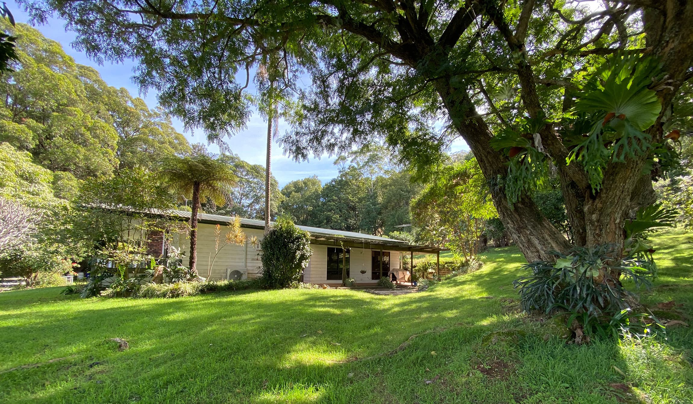 164 South Boambee Road, Boambee, Boambee - Image 1