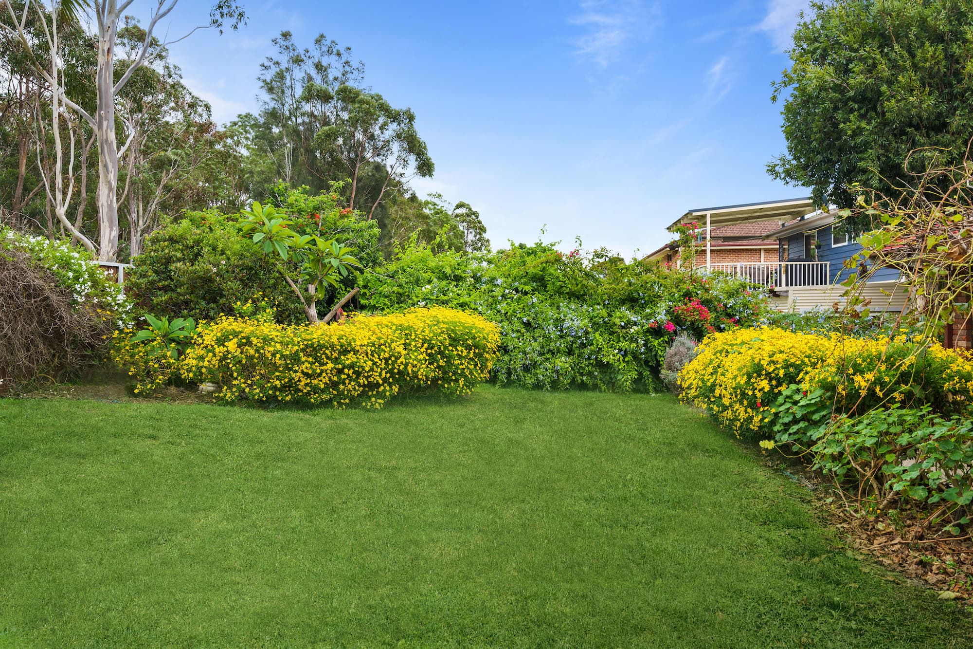22 Kalani Road, Bonnells Bay, Bonnells Bay - Thumbnail 6
