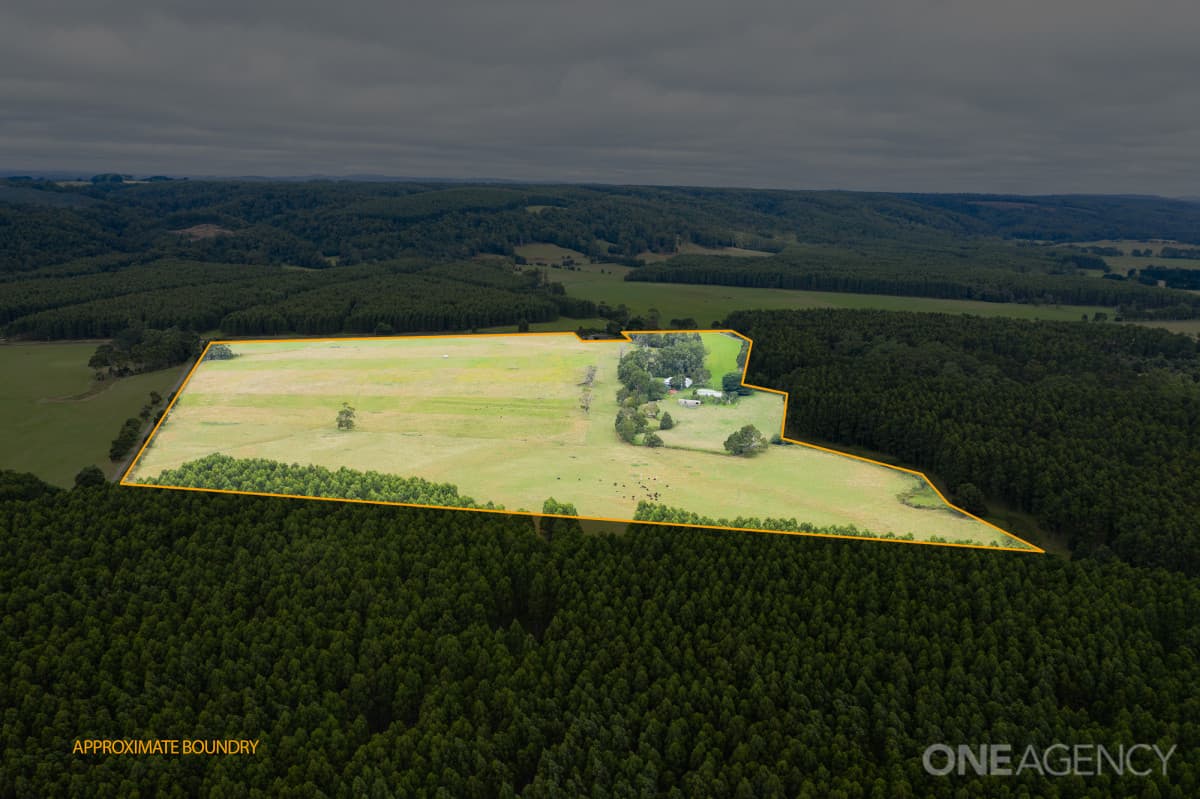 418 Armstrong Road, Roger River, Roger River - Thumbnail 4