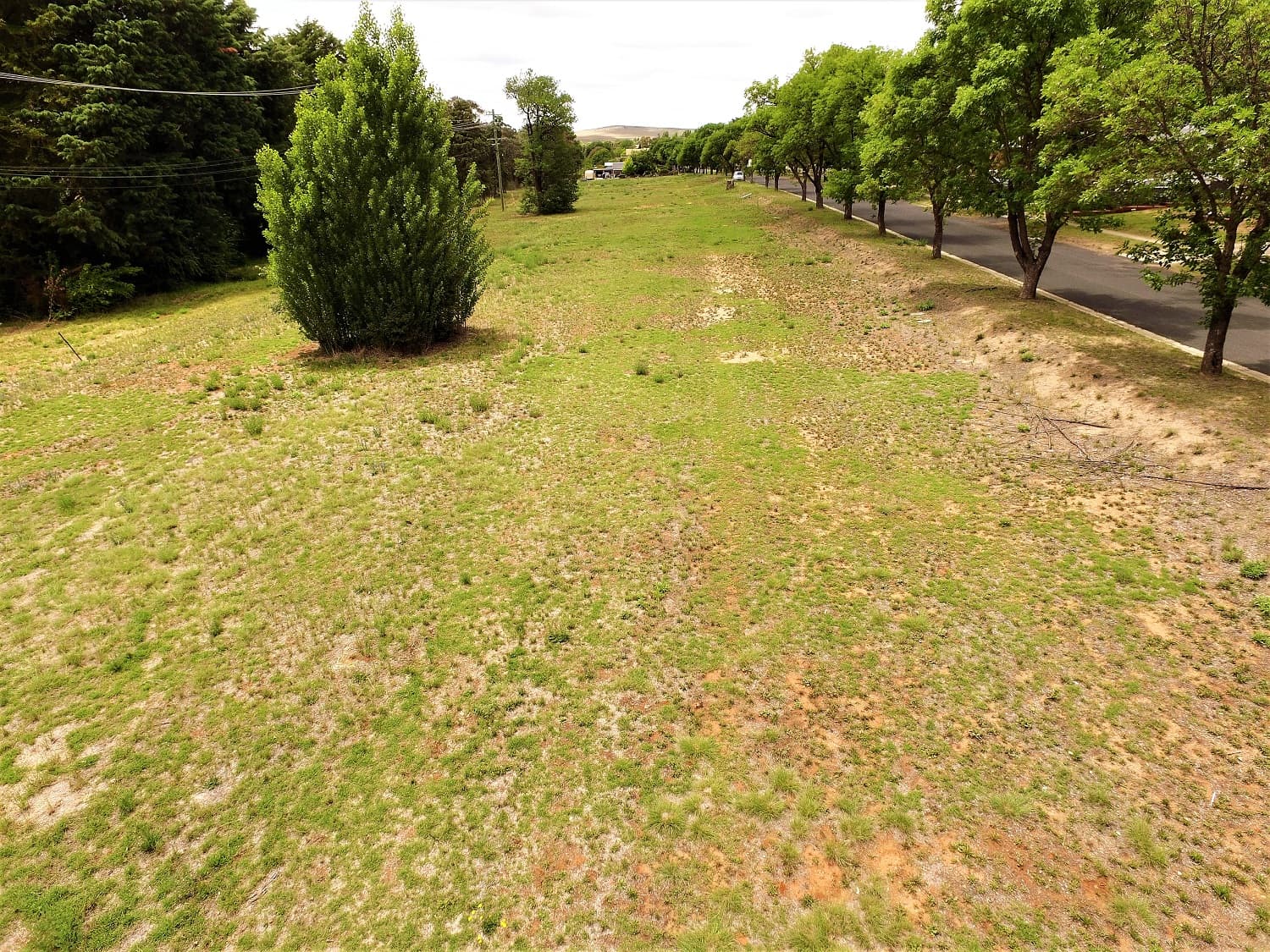 Lot 37  Wangie  Street, Cooma, Cooma - Image 1
