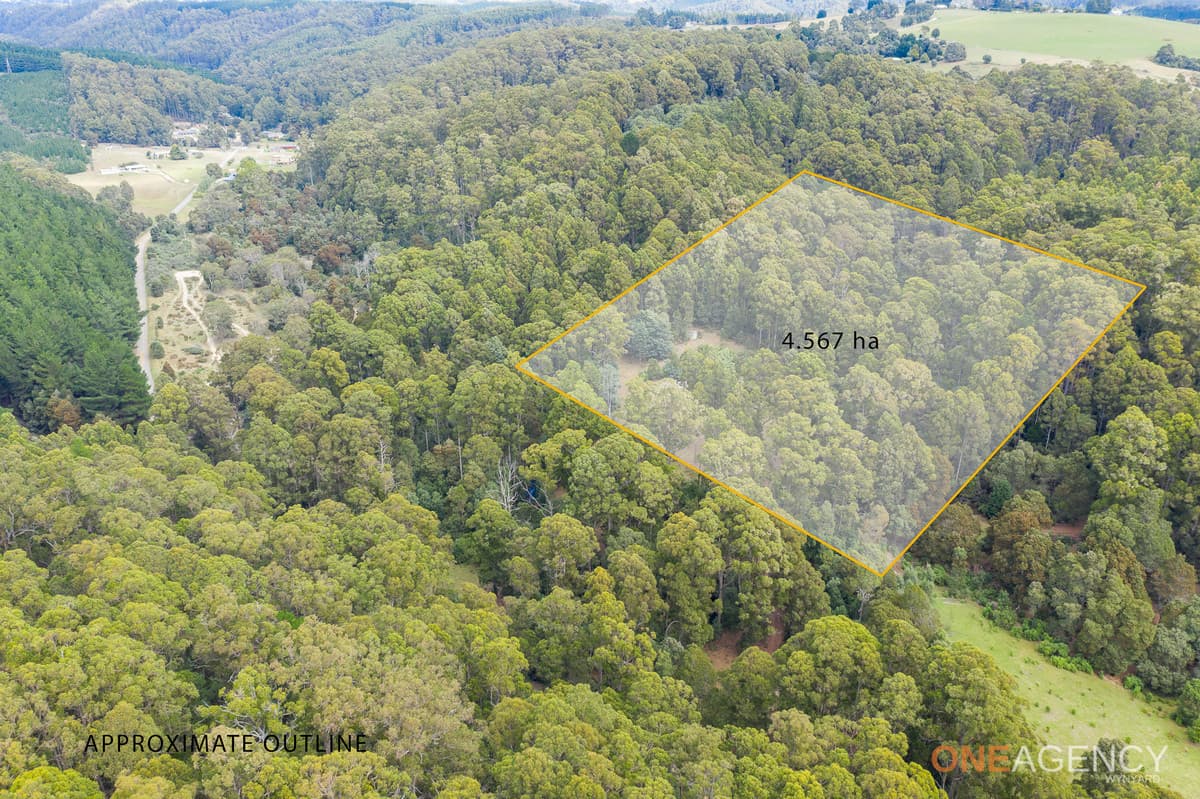 466 Reservoir Drive, Wynyard, Wynyard - Thumbnail 2
