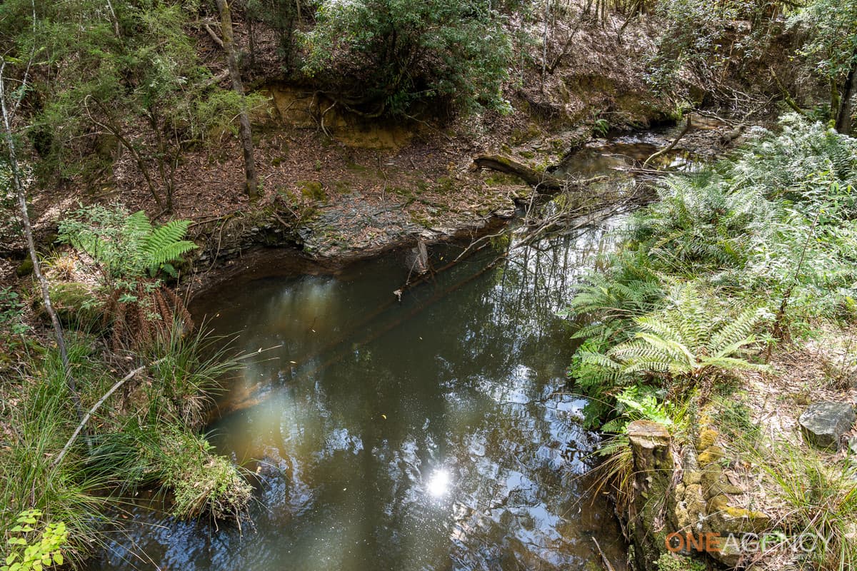 466 Reservoir Drive, Wynyard, Wynyard - Thumbnail 4