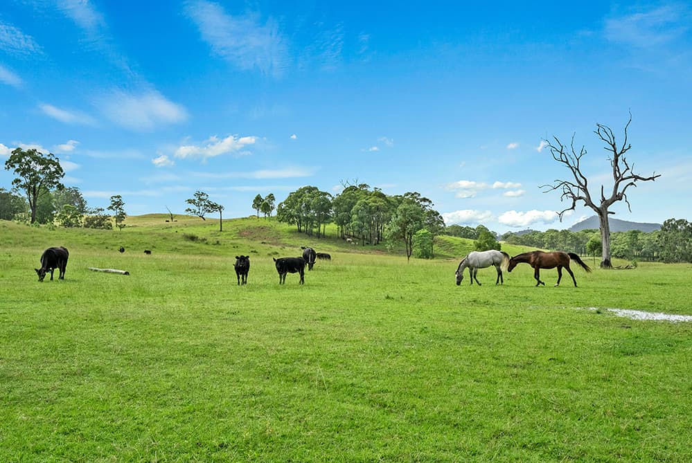 1351 Summerhill Road, Gresford, East Gresford - Thumbnail 2