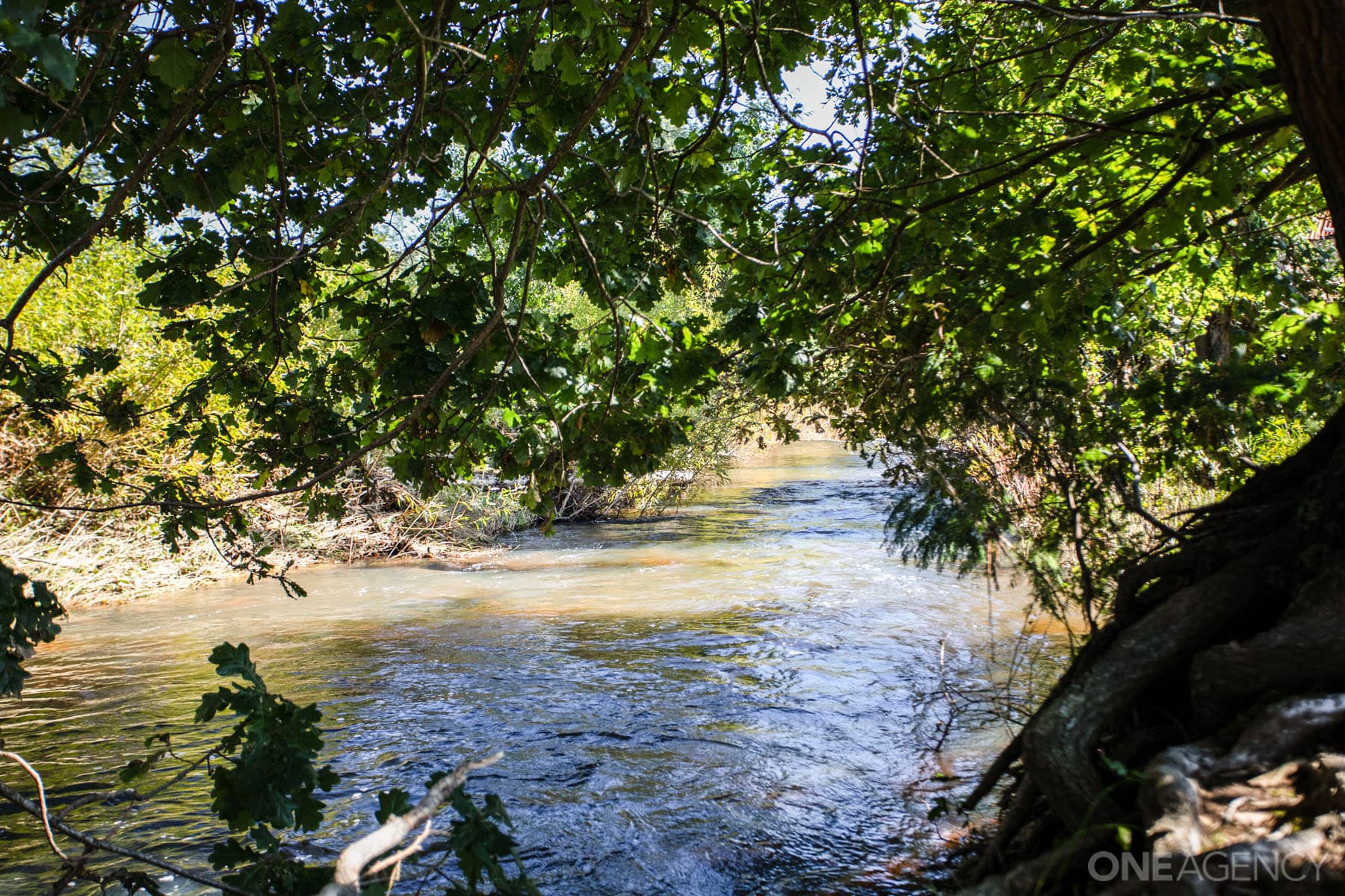 522 Lalla Road, Karoola, Karoola - Thumbnail 3