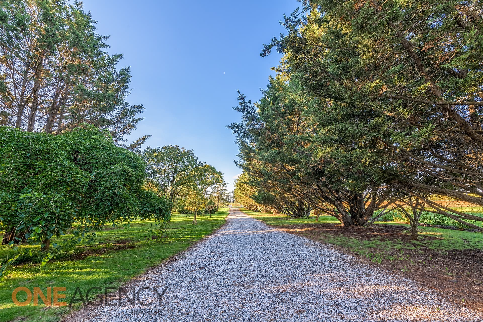 85 Cully Road, Orange, Orange - Thumbnail 2