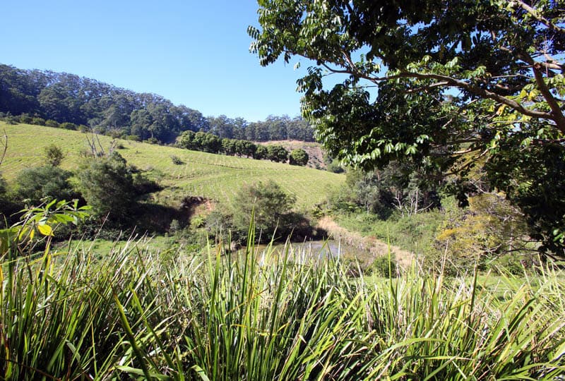 32 Lovetts Road, Korora, Korora - Thumbnail 8