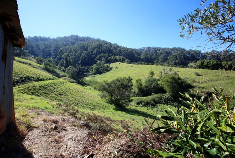 32 Lovetts Road, Korora, Korora - Thumbnail 7