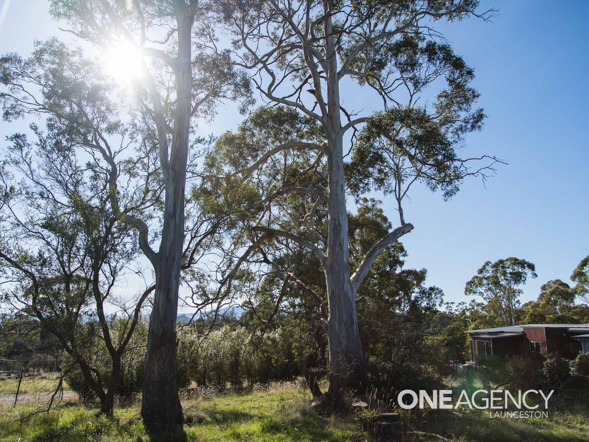 20 Hardwicke Street, Summerhill, Summerhill - Thumbnail 6