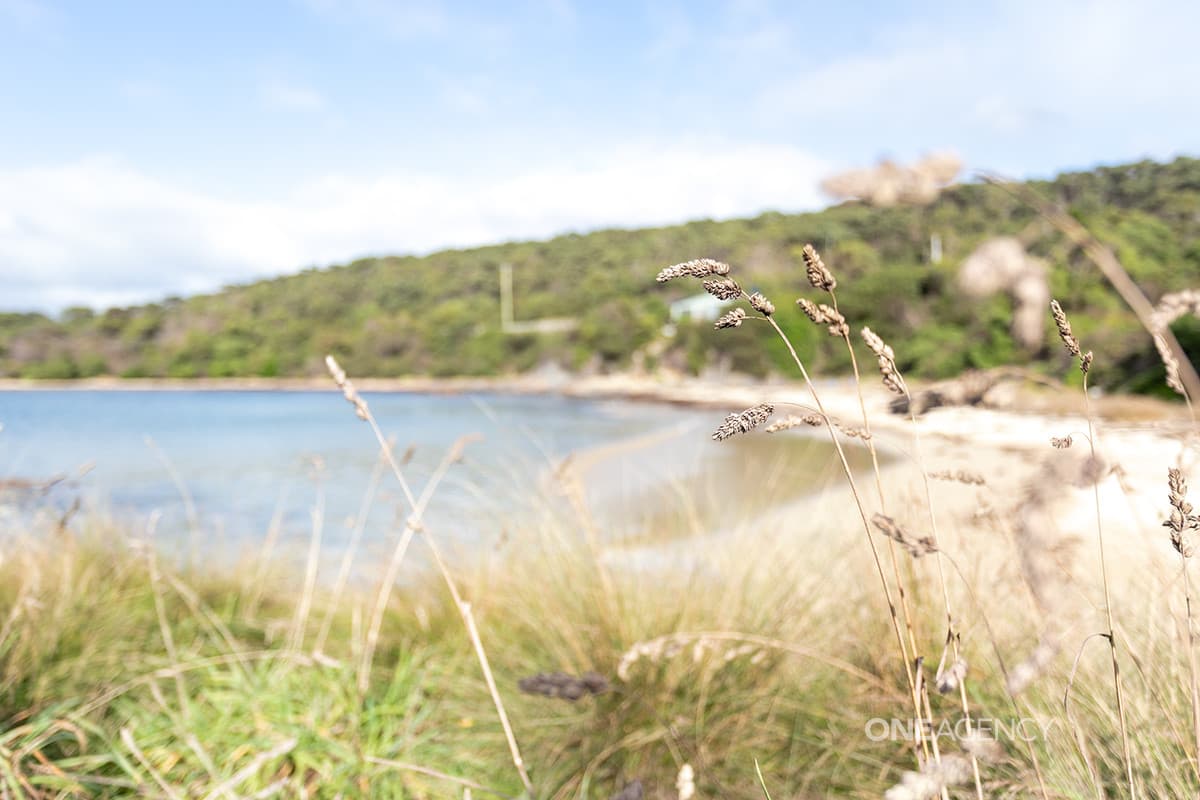 15 Cowrie Point Road, Cowrie Point, Cowrie Point - Thumbnail 4