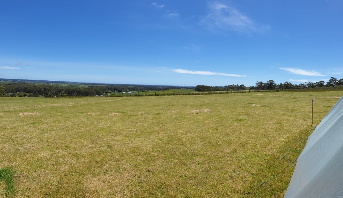 74 Mauds Road, Scotchtown, Scotchtown - Thumbnail 6