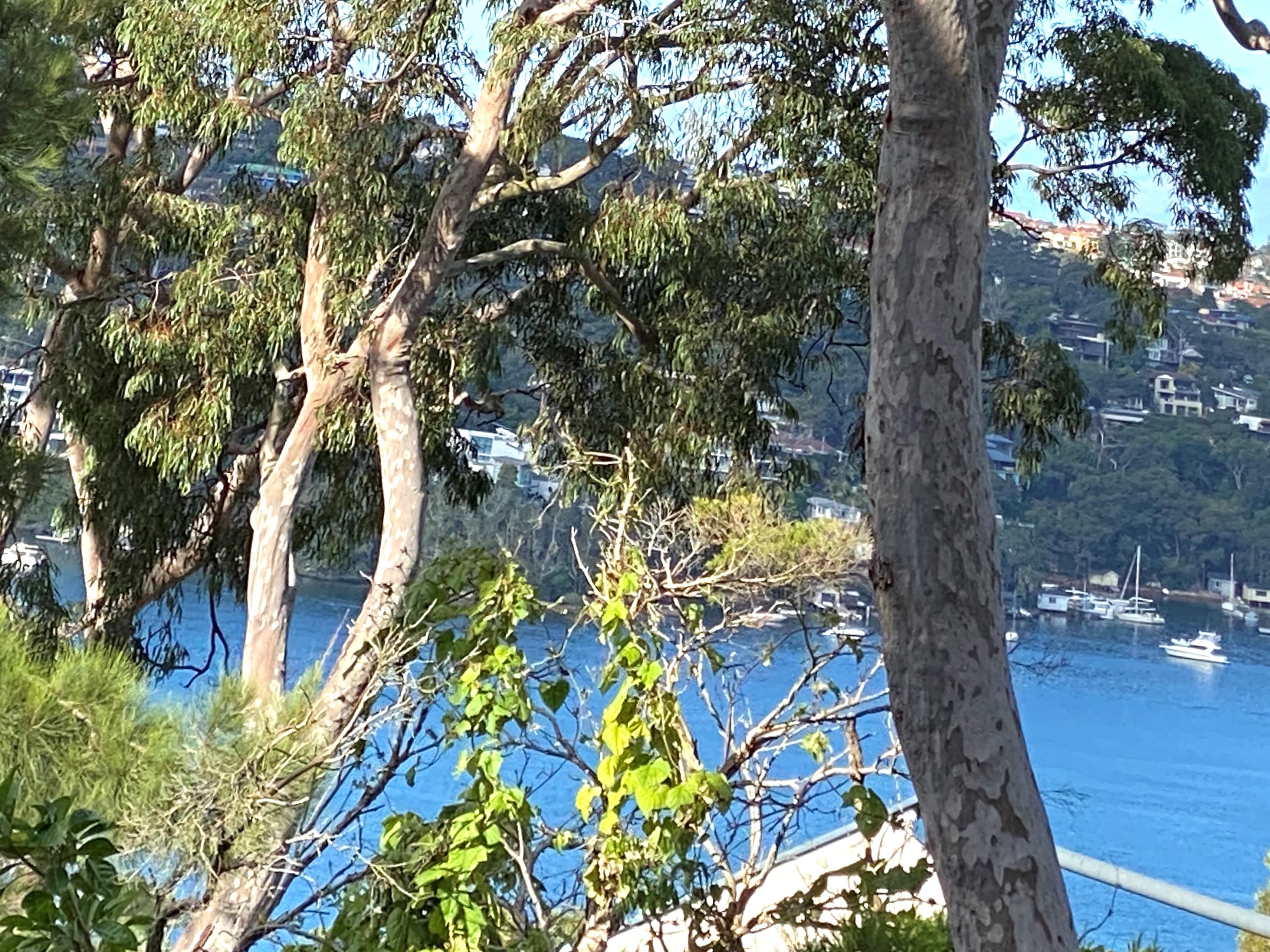9 Korinya, Castle Cove, Castle Cove - Thumbnail 5