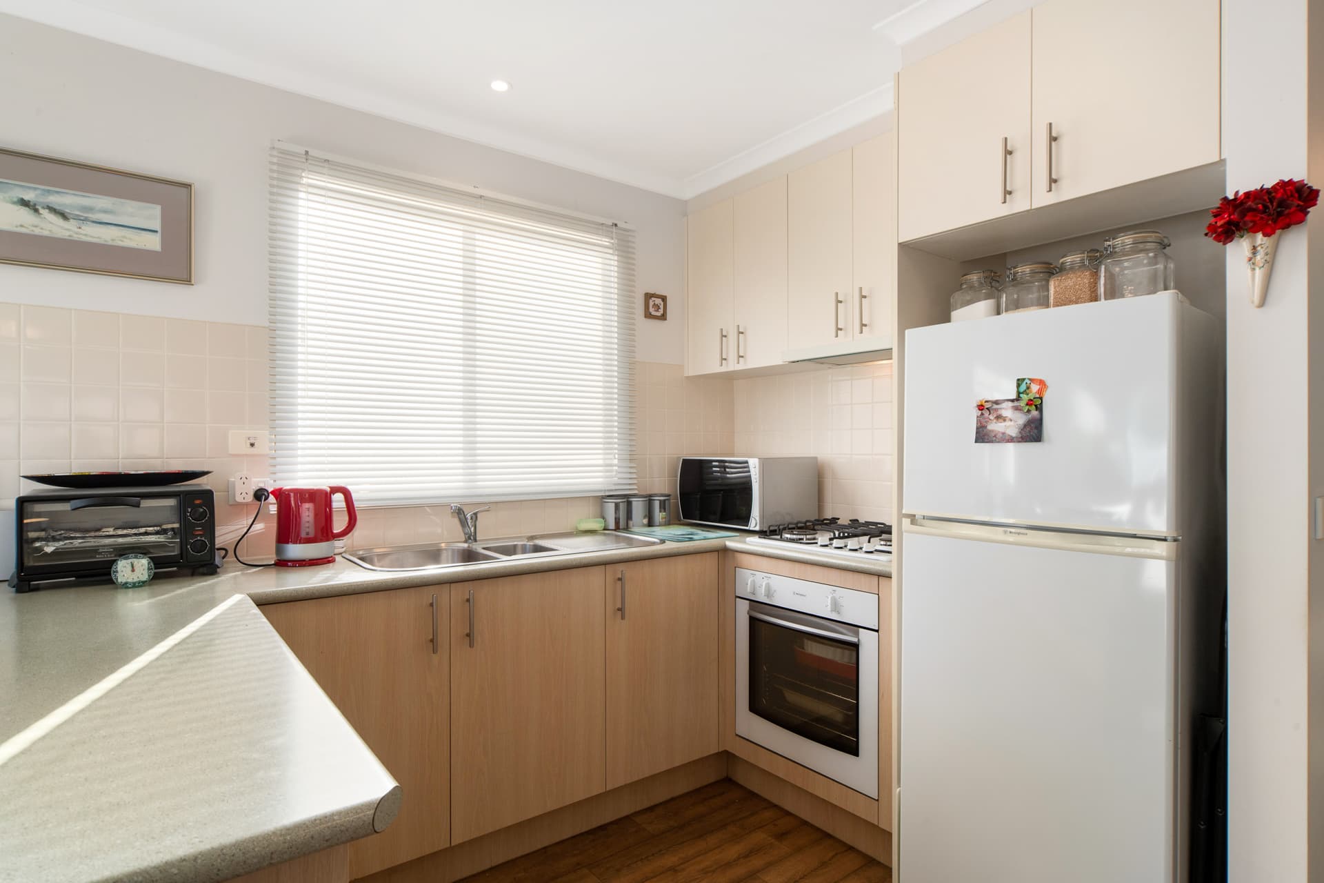 19 Shelly Place, Hastings, Hastings - Thumbnail 4