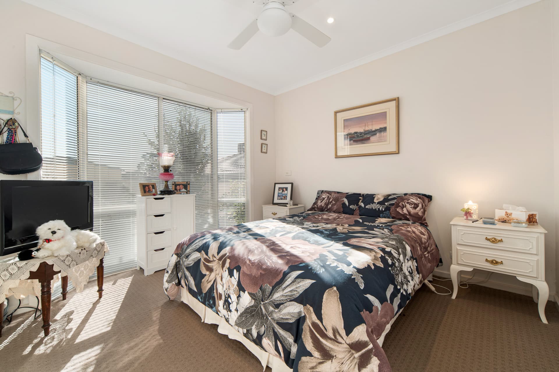 19 Shelly Place, Hastings, Hastings - Thumbnail 7