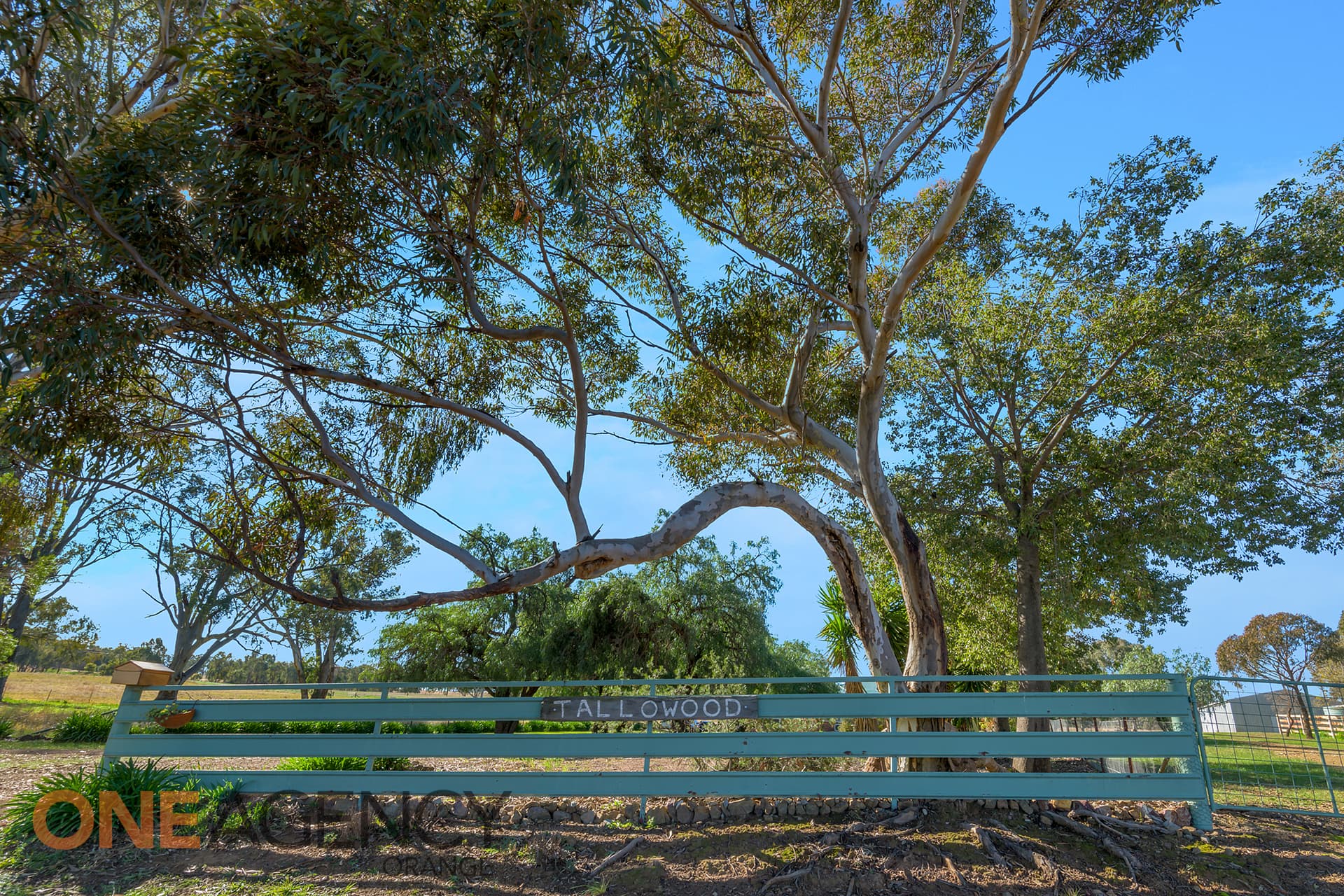 1856 Banjo Paterson Way, Molong, NSW 2866, Molong - Thumbnail 2