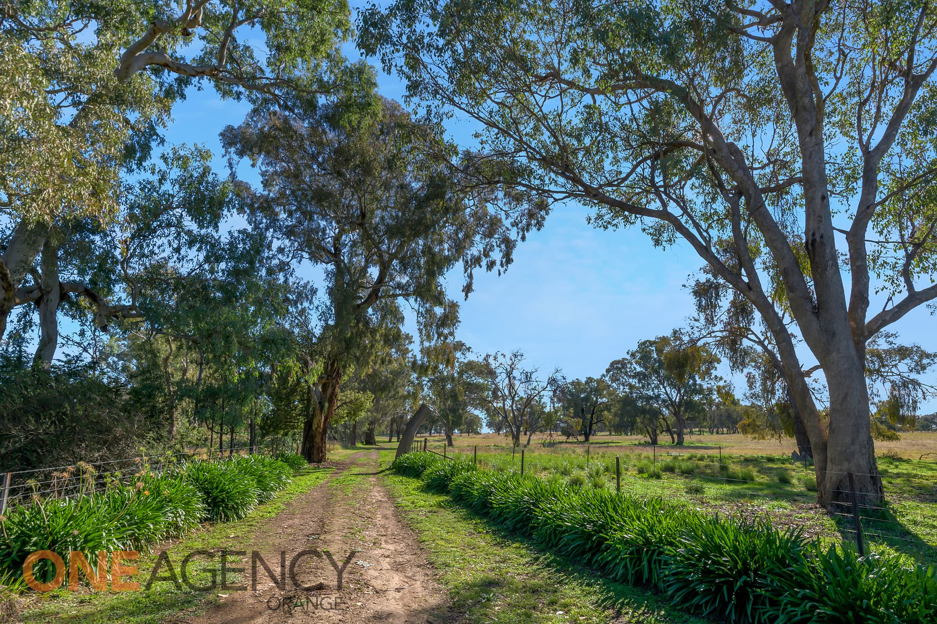 1856 Banjo Paterson Way, Molong, NSW 2866, Molong - Thumbnail 3