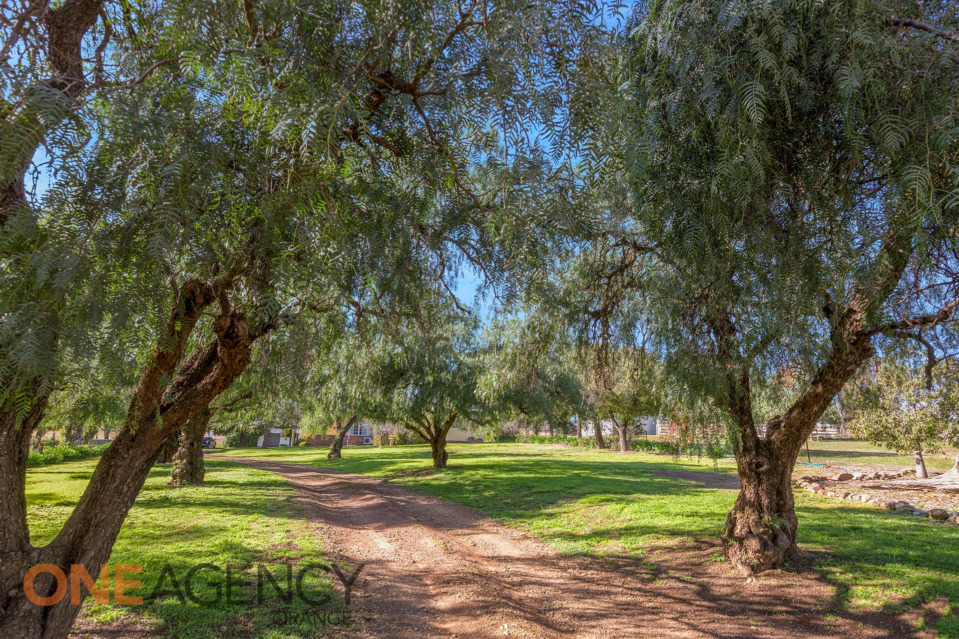 1856 Banjo Paterson Way, Molong, NSW 2866, Molong - Thumbnail 4