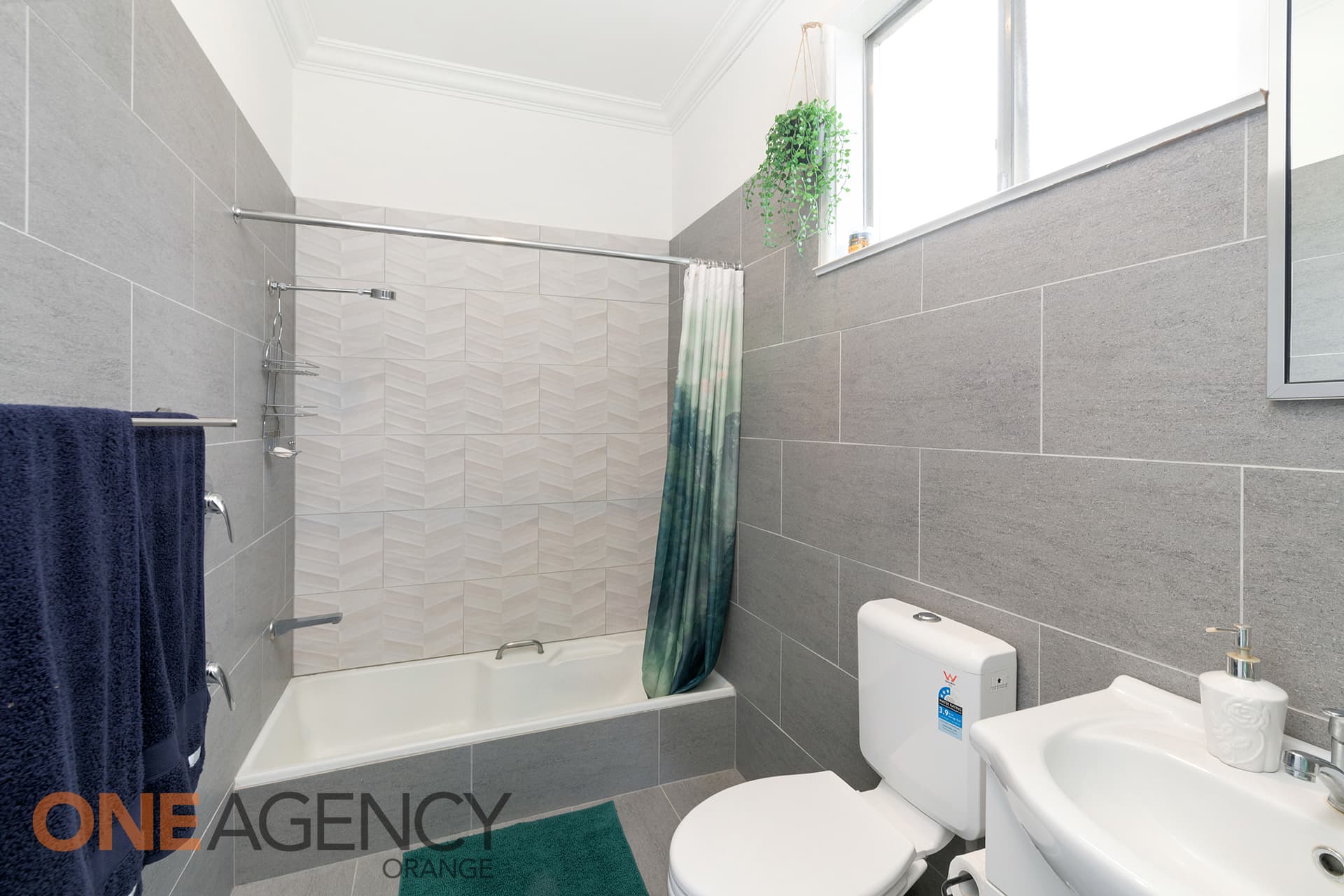 24 Elizabeth Street, Spring Hill, Spring Hill - Thumbnail 5