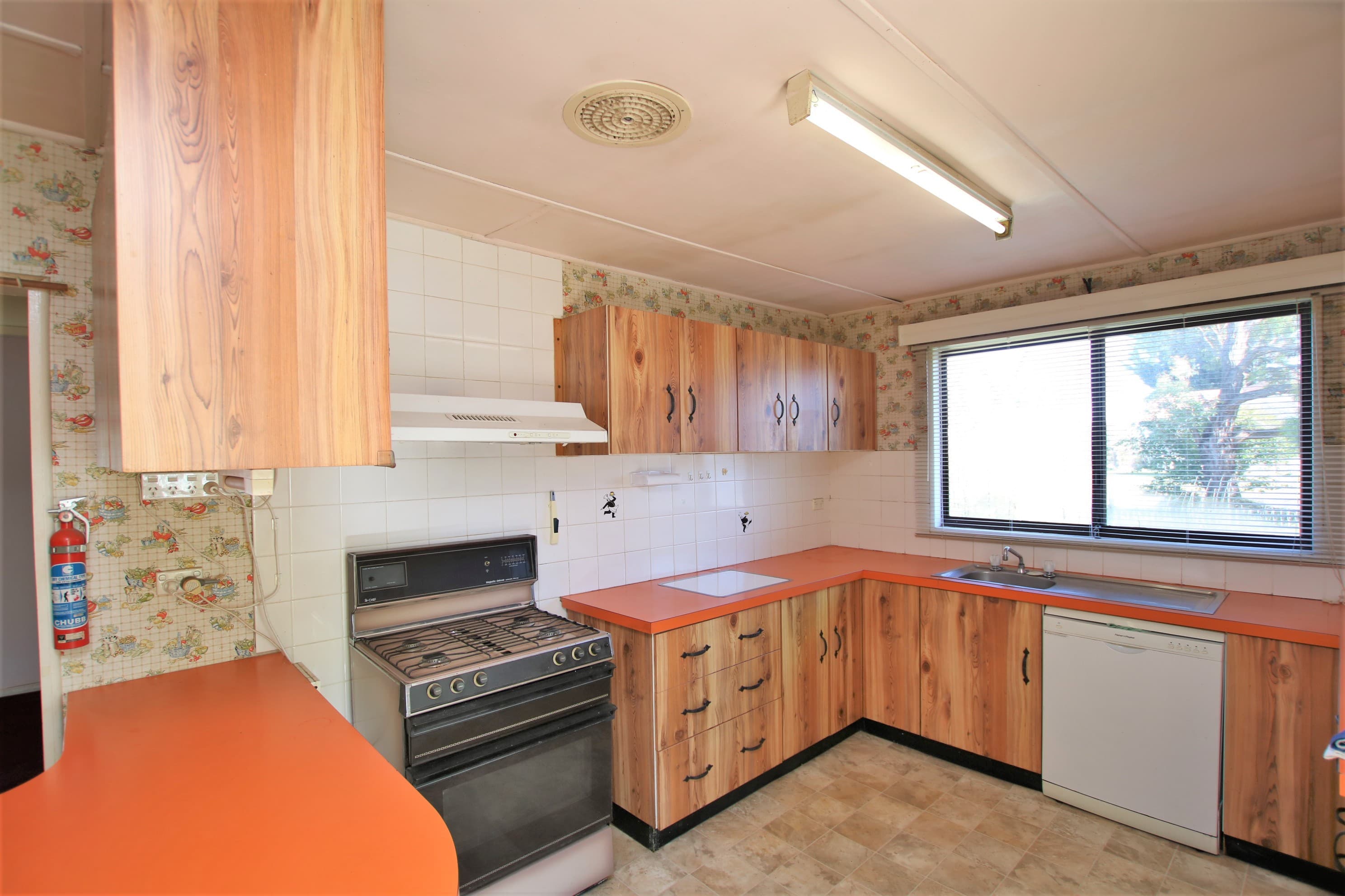 38 Clarke Street, Nimmitabel, Nimmitabel - Thumbnail 4