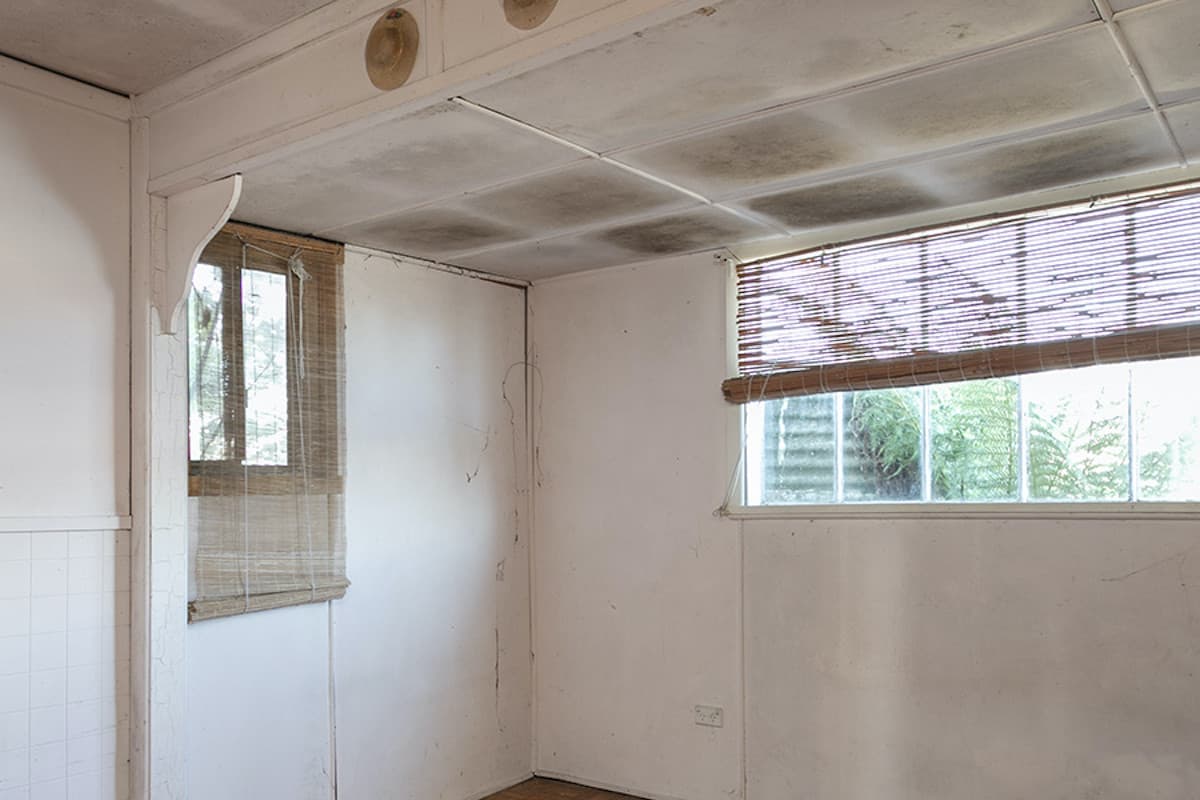 19 - 21 Honey Richea Road, Hellyer, Hellyer - Thumbnail 2