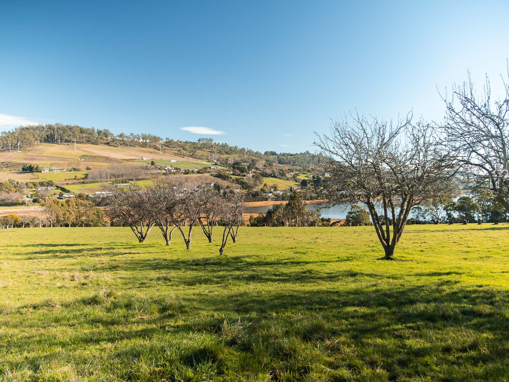 Lot 36, 49-59 Ridge Road, 49-59 Ridge Road - Thumbnail 5