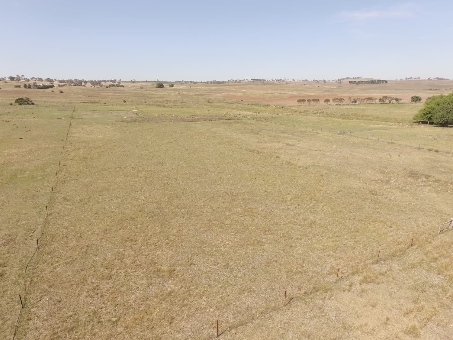 Lot 4 & Lot 7/9 Evans  Street, Bibbenluke, Bibbenluke - Thumbnail 4